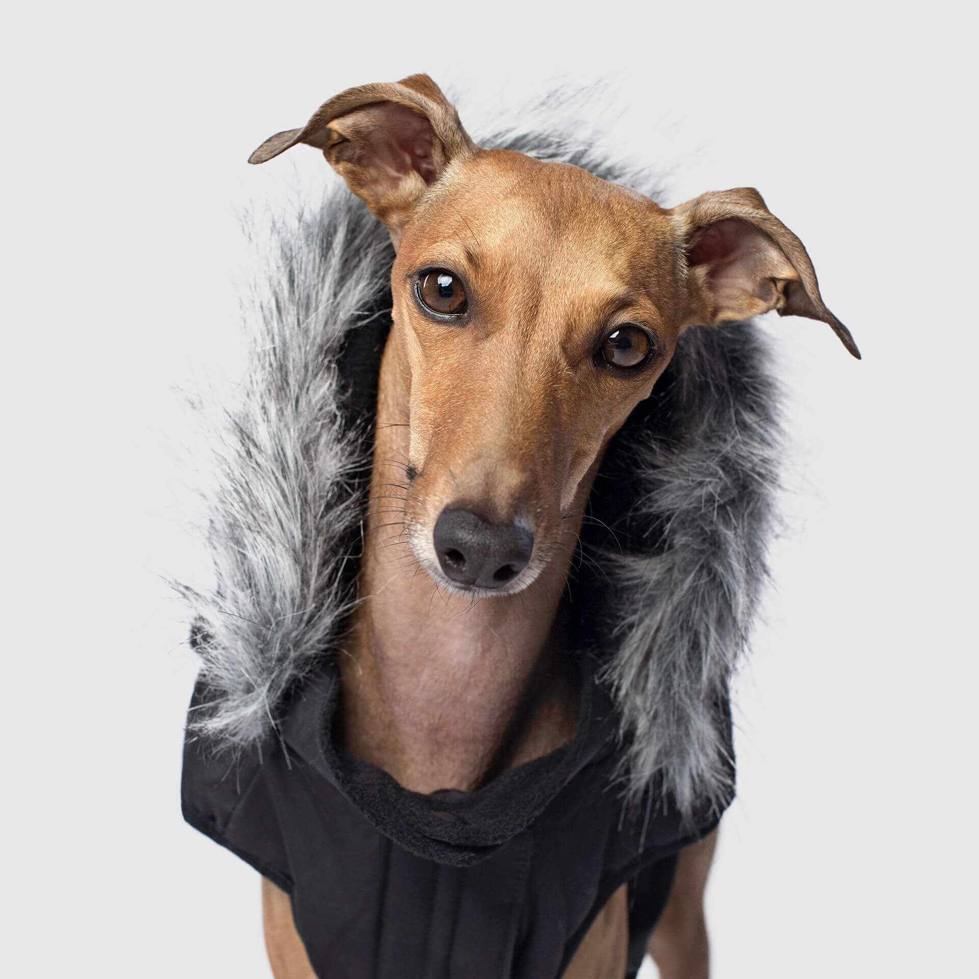 Everest Explorer Jacket - Image 7