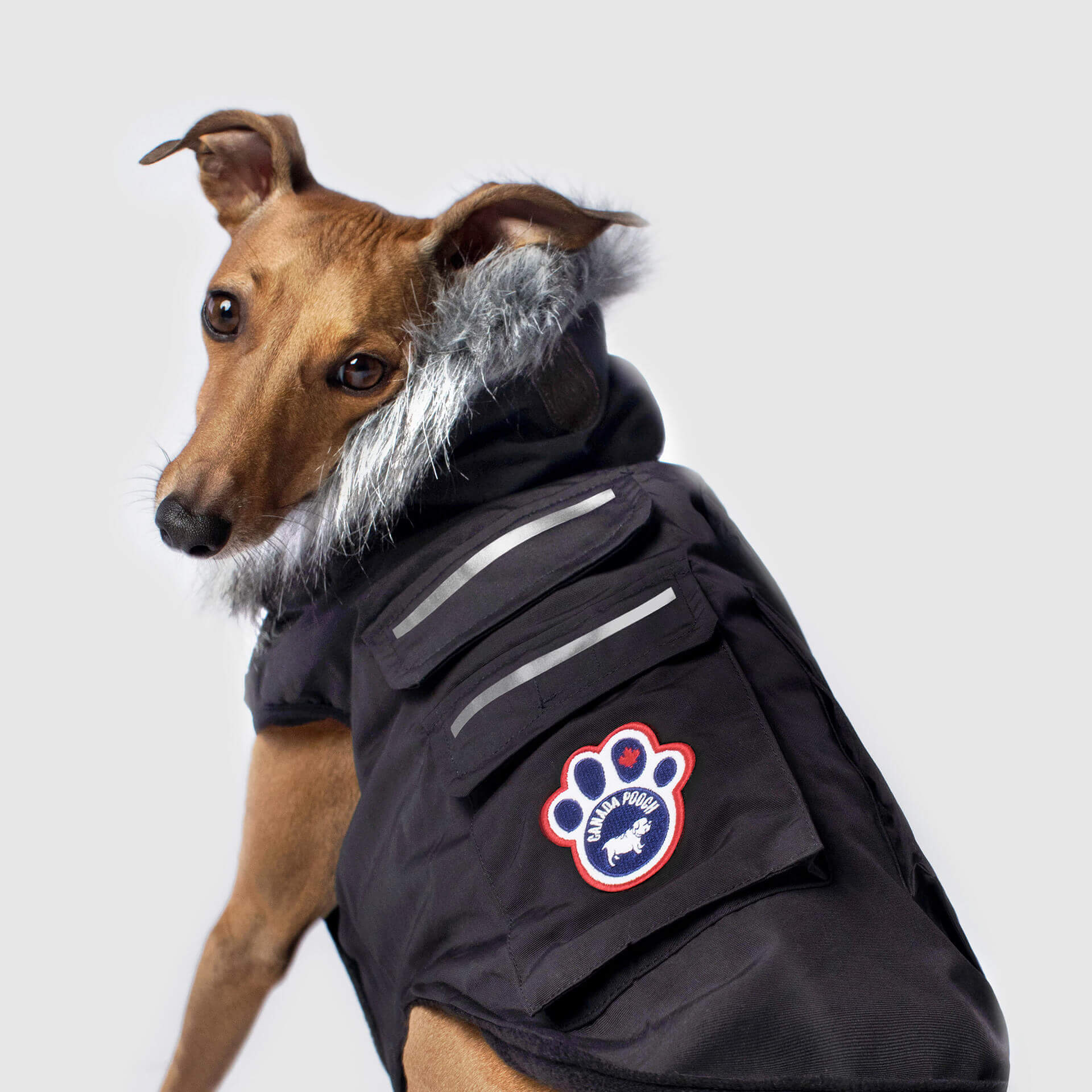 Everest Explorer Jacket - Image 8