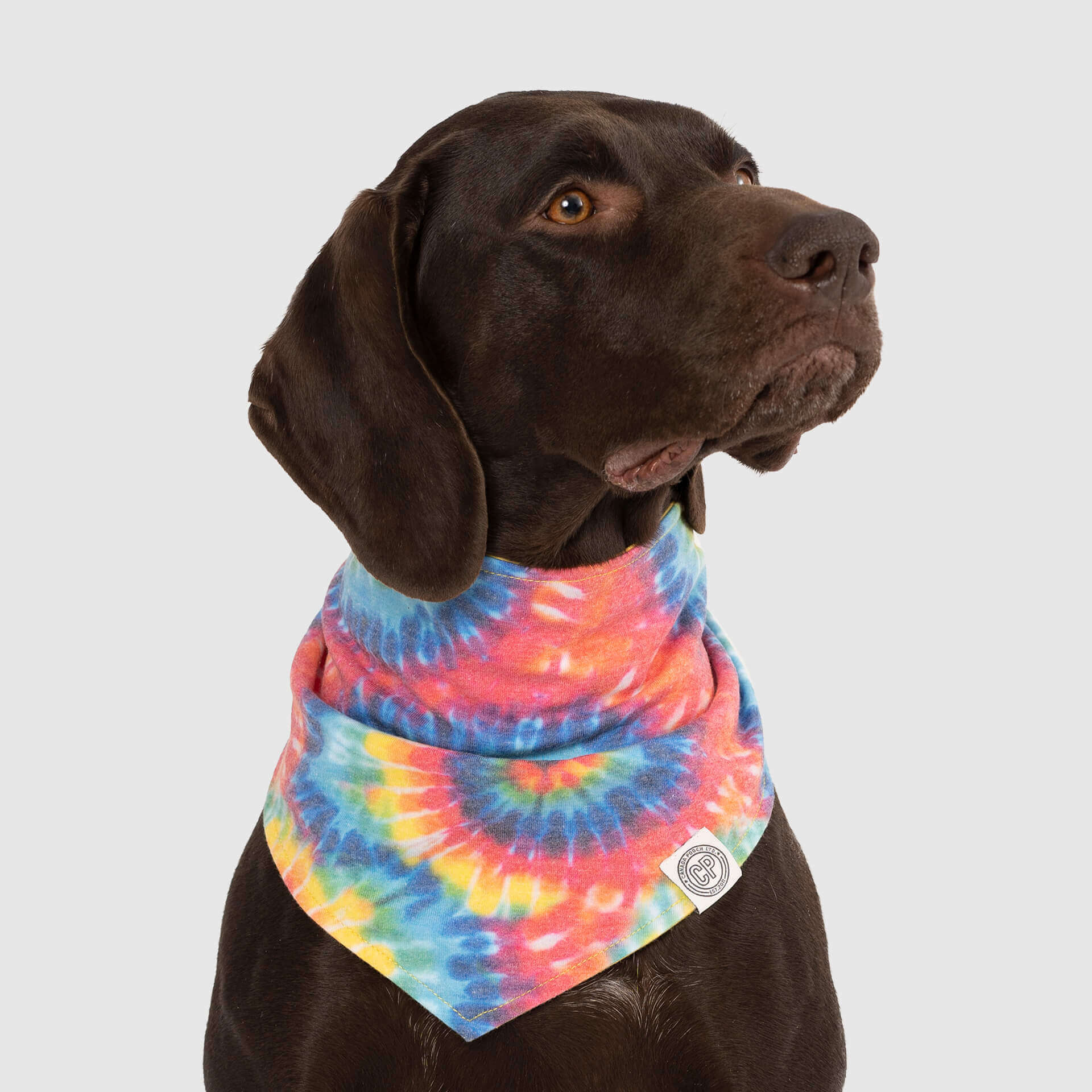 Follow Me Bandana - Image 14