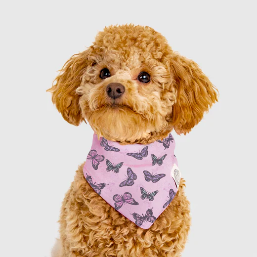 Follow Me Bandana - Image 18