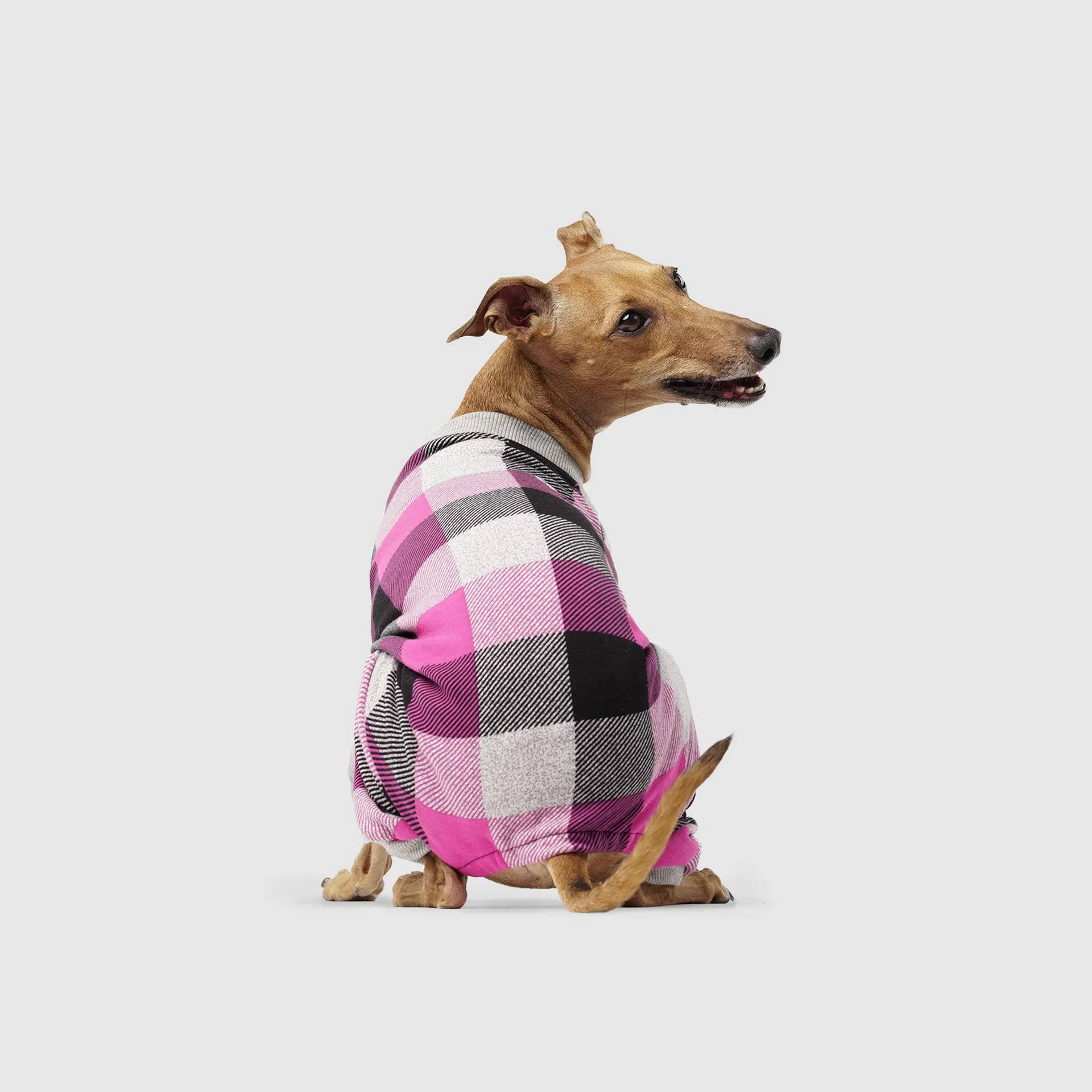 Frosty Fleece Sweatsuit - Image 4