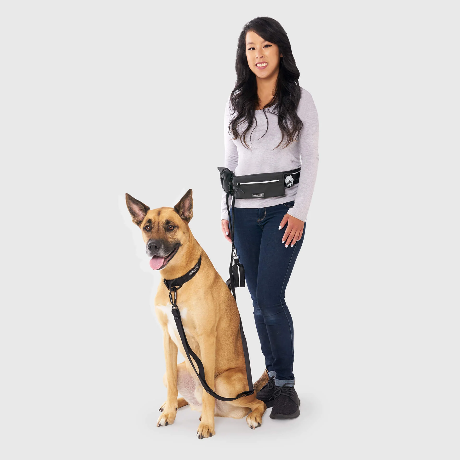 Handsfree Dog Walking Belt - Image 3