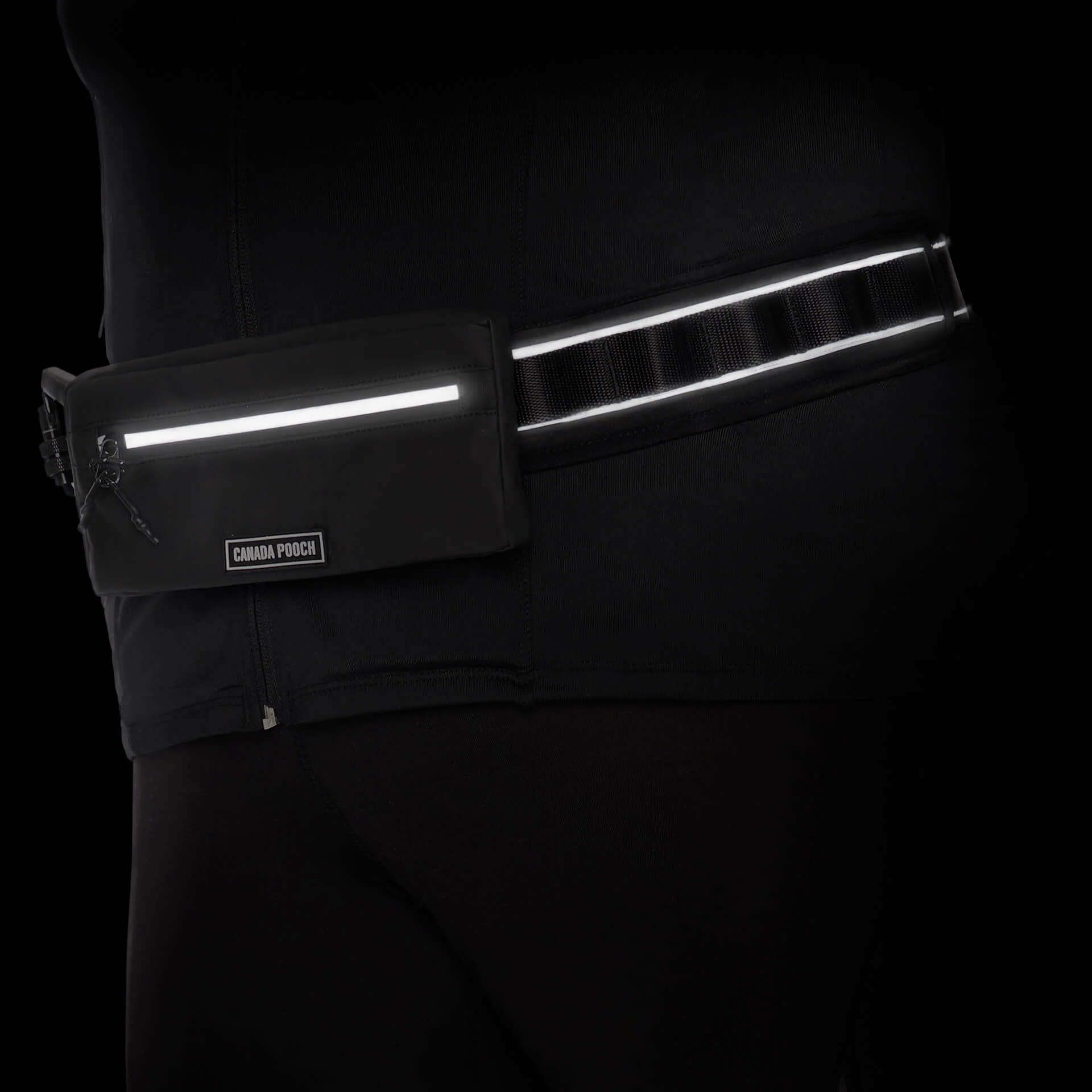 Handsfree Dog Walking Belt - Image 5