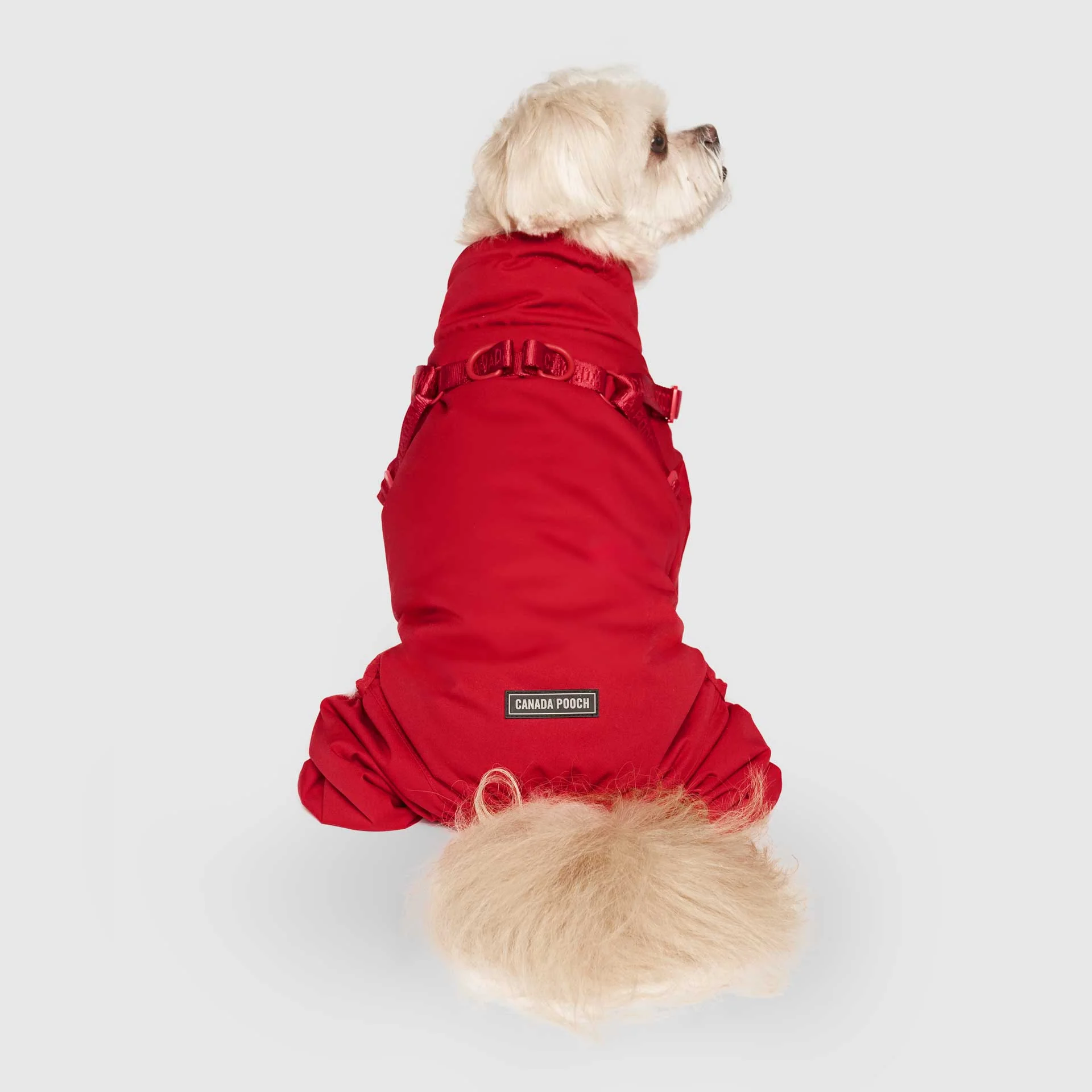 Harness Snow Suit - Image 11