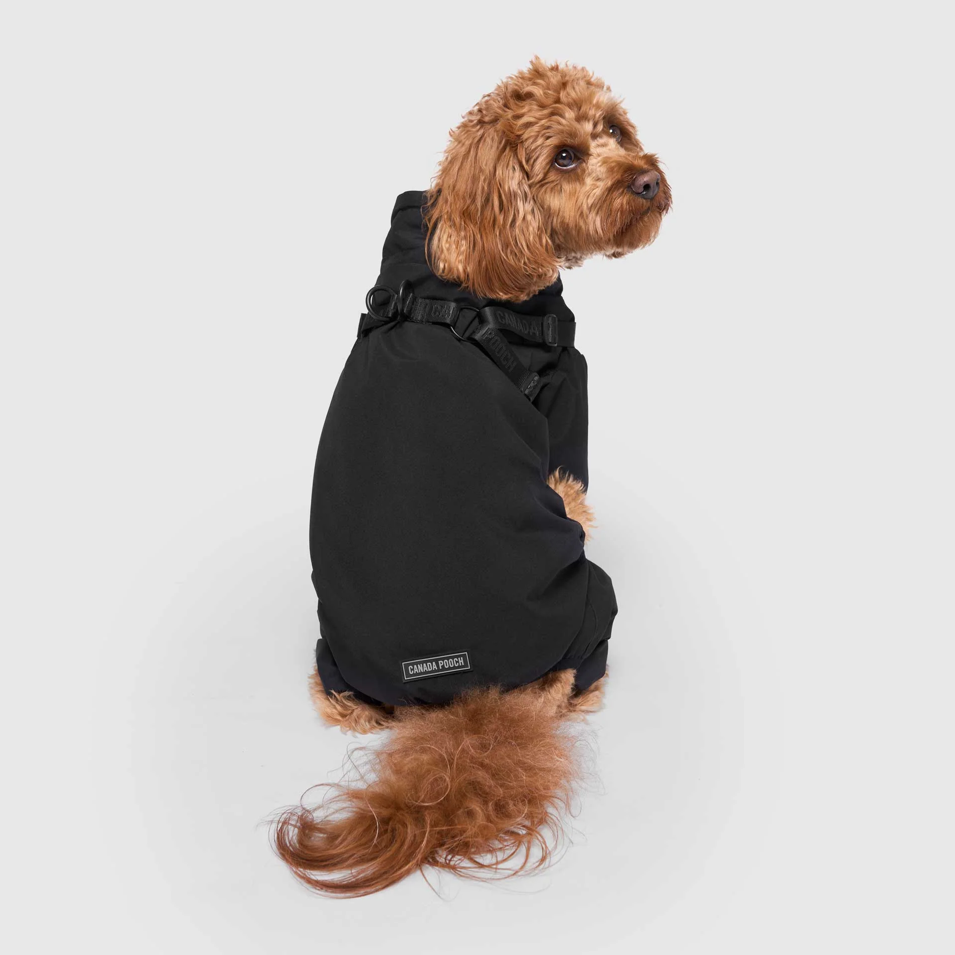 Harness Snow Suit - Image 5