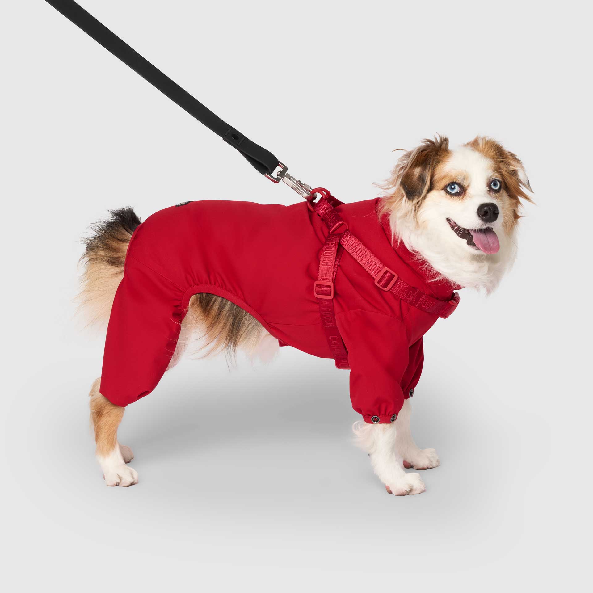 Harness Snow Suit - Image 8