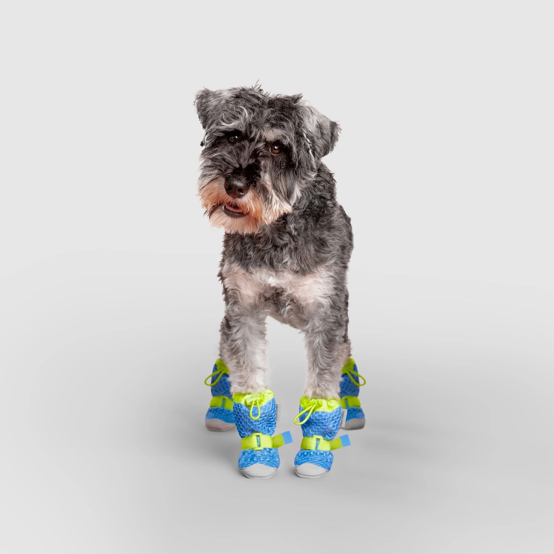 Hot Pavement Boots - Image 14