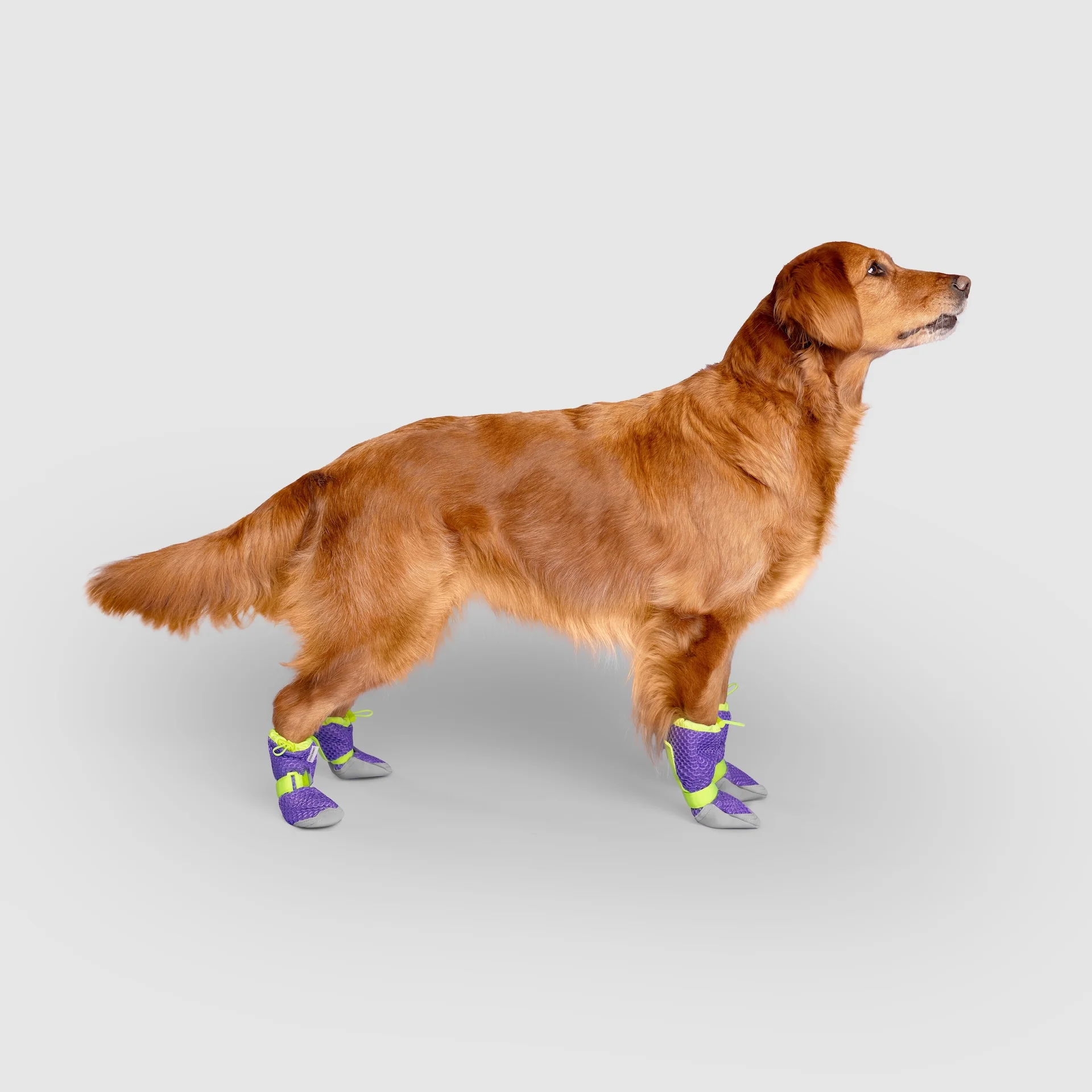 Hot Pavement Boots - Image 18