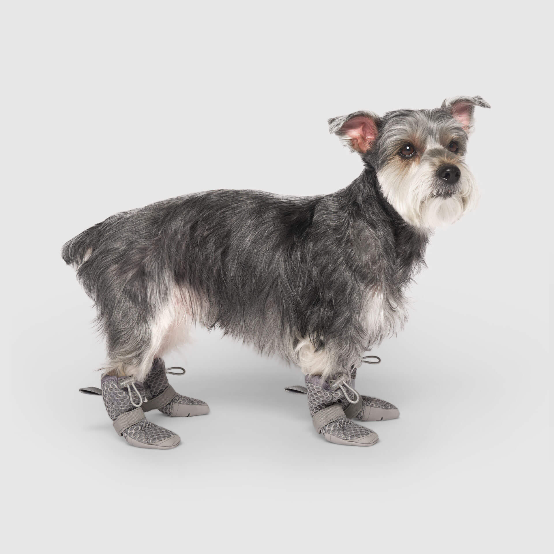 Hot Pavement Boots - Image 3