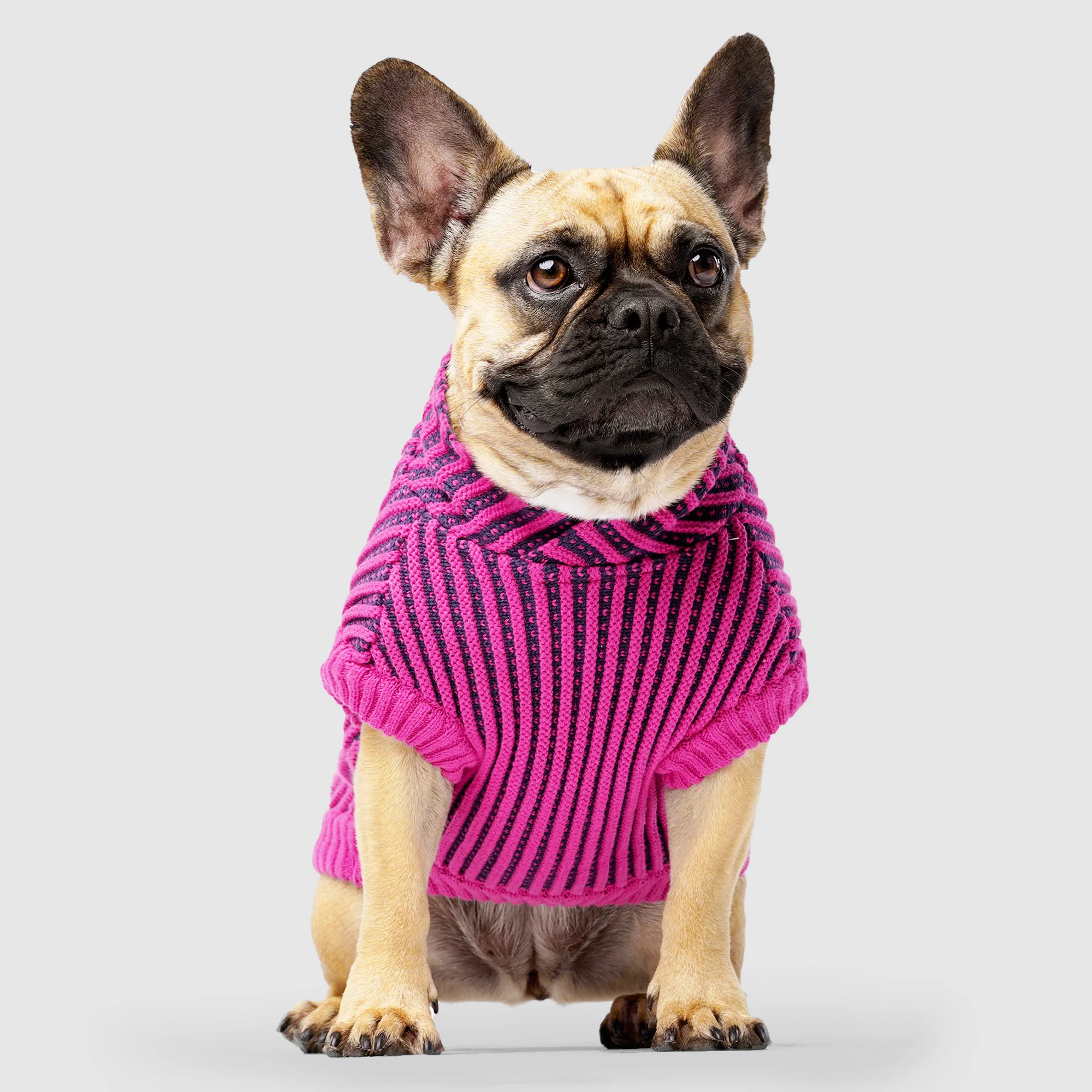 Icon Sweater - Image 5