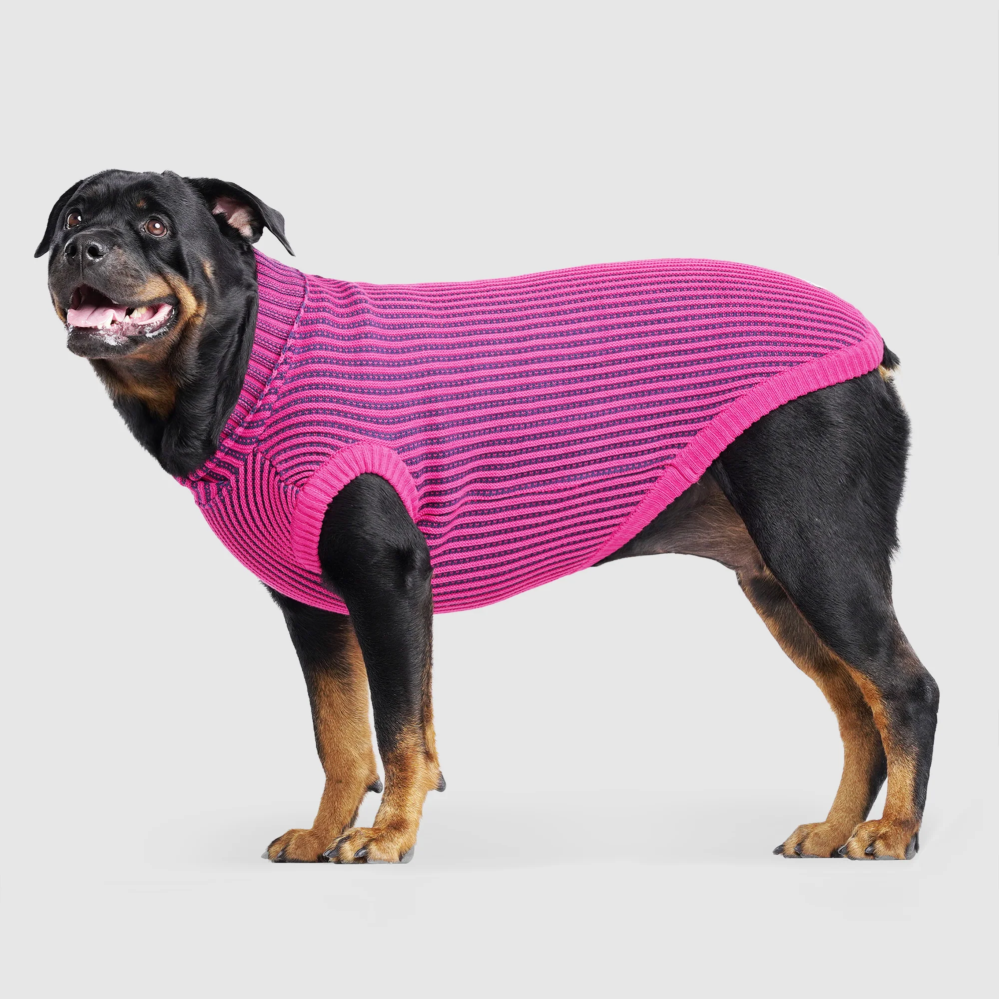 Icon Sweater - Image 6