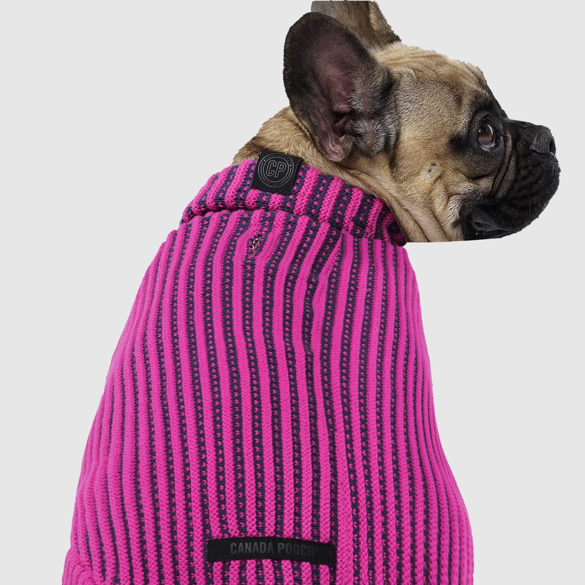 Icon Sweater - Image 7