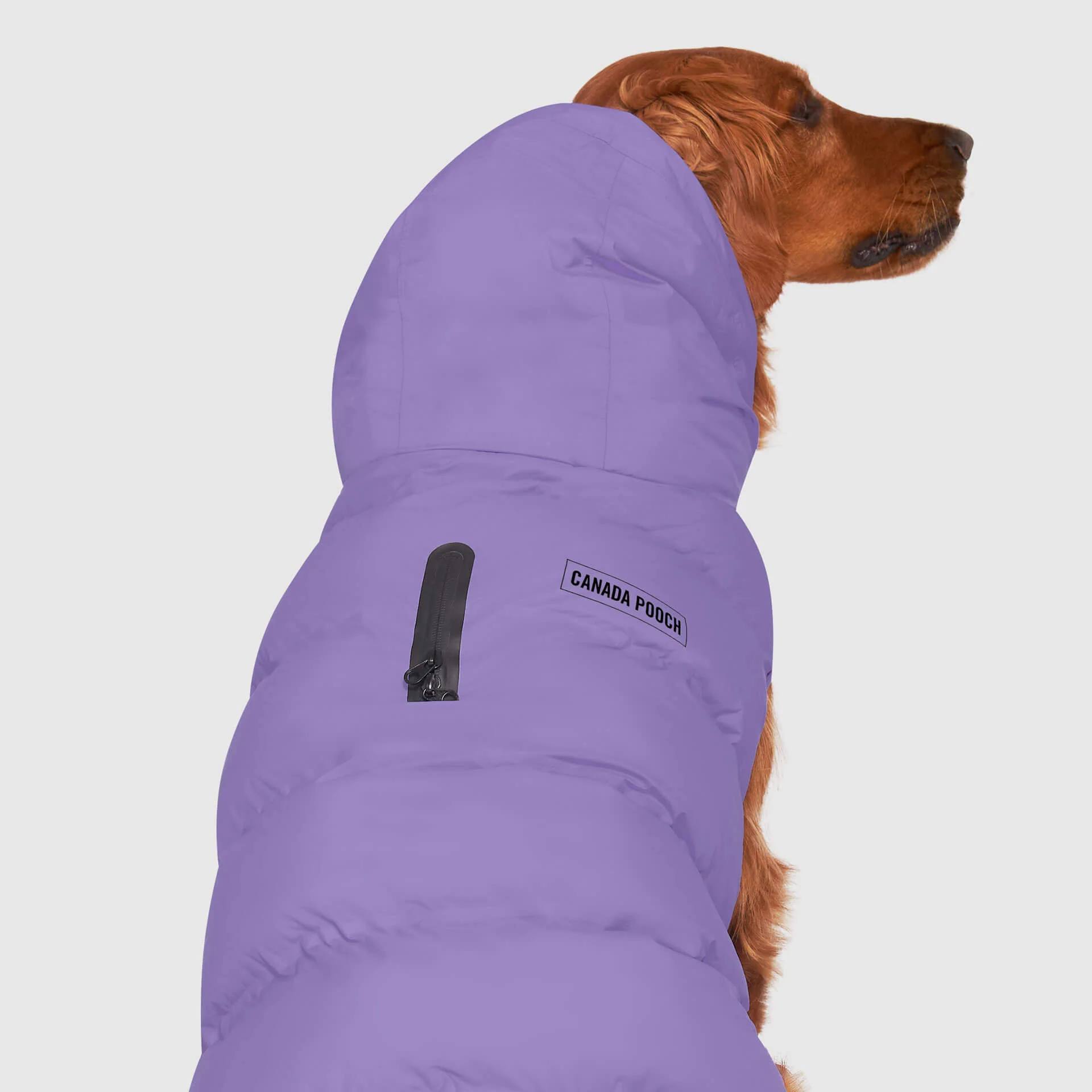 Waterproof Puffer - Image 12
