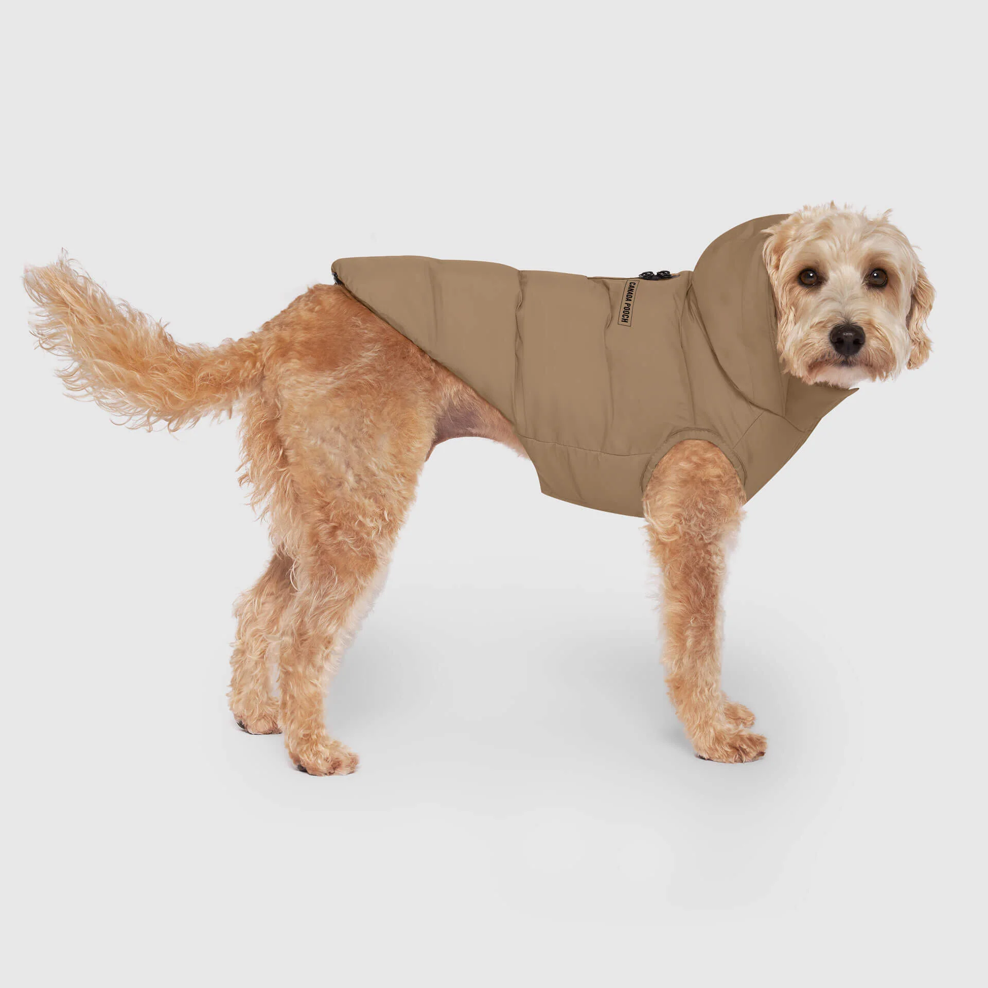 Waterproof Puffer - Image 14