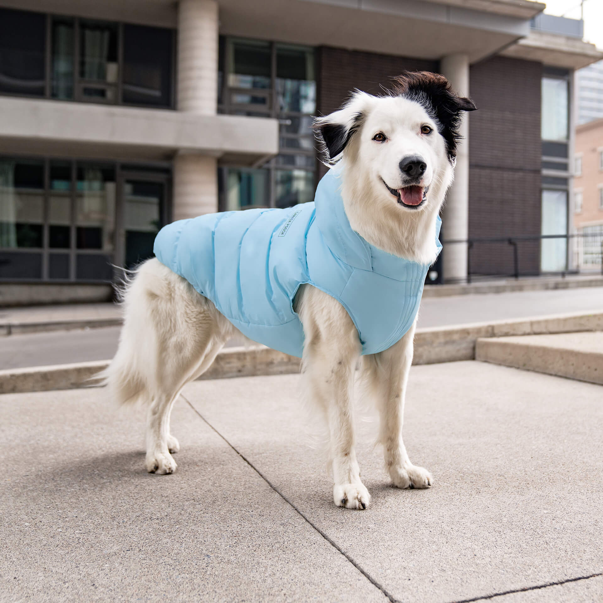Waterproof Puffer - Image 26