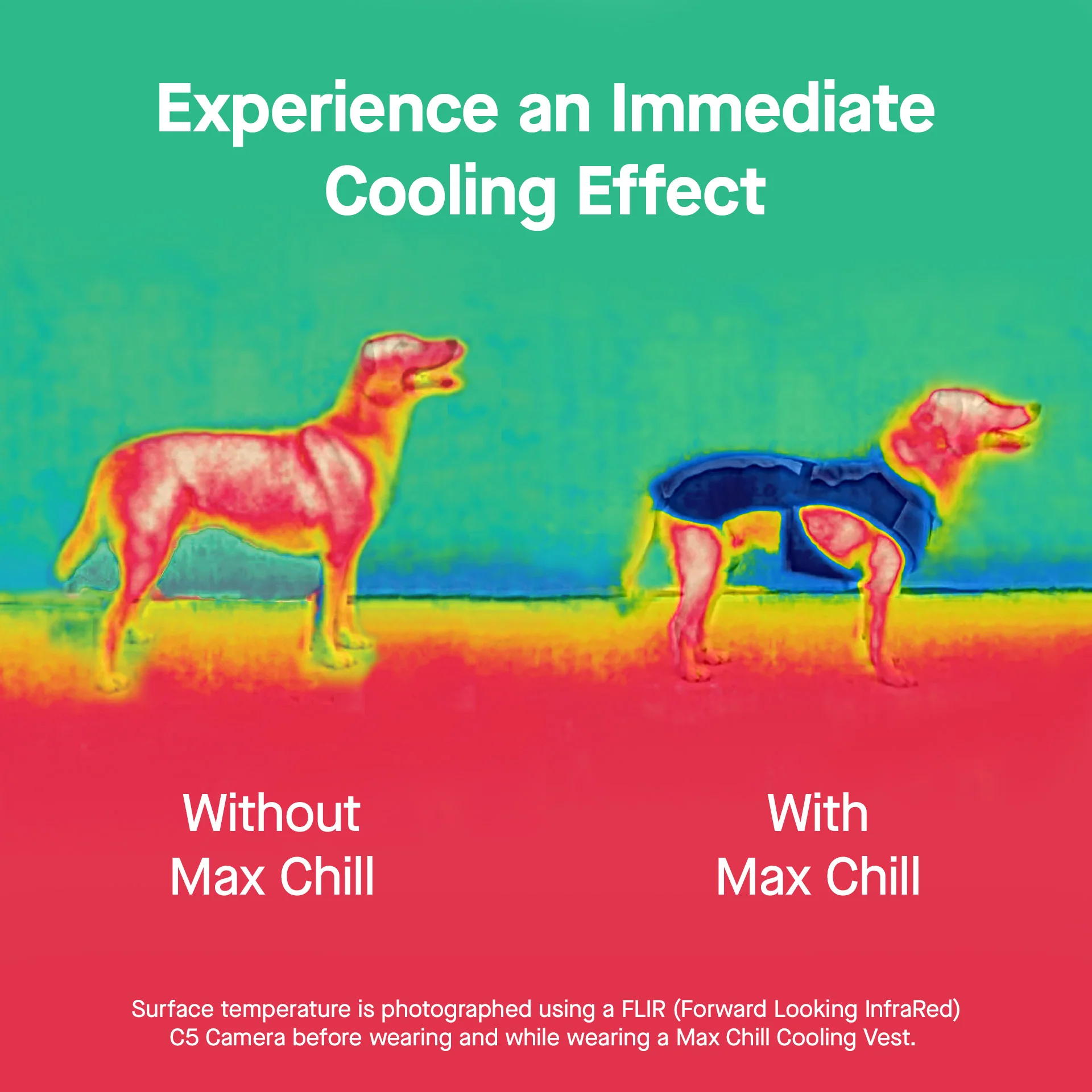 Max Chill Cooling Harness - Image 21