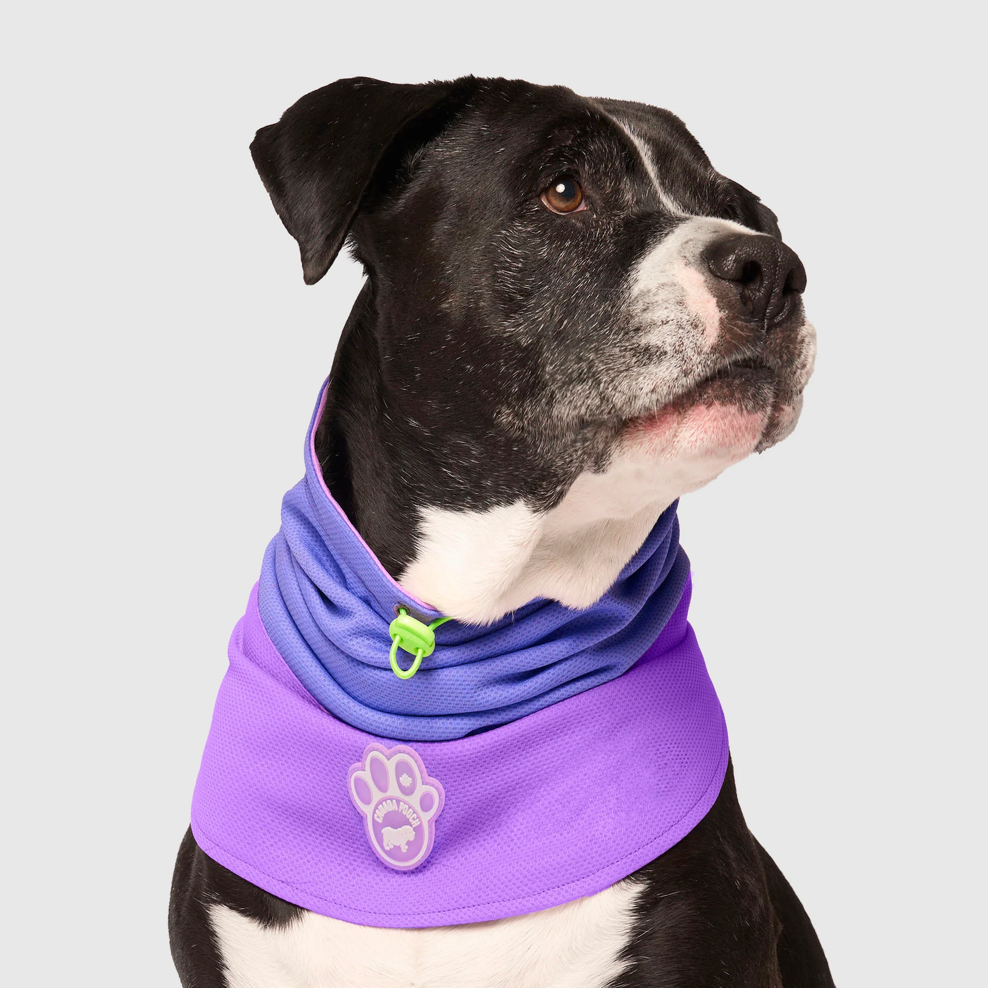 Max Chill Cooling Snood - Image 20