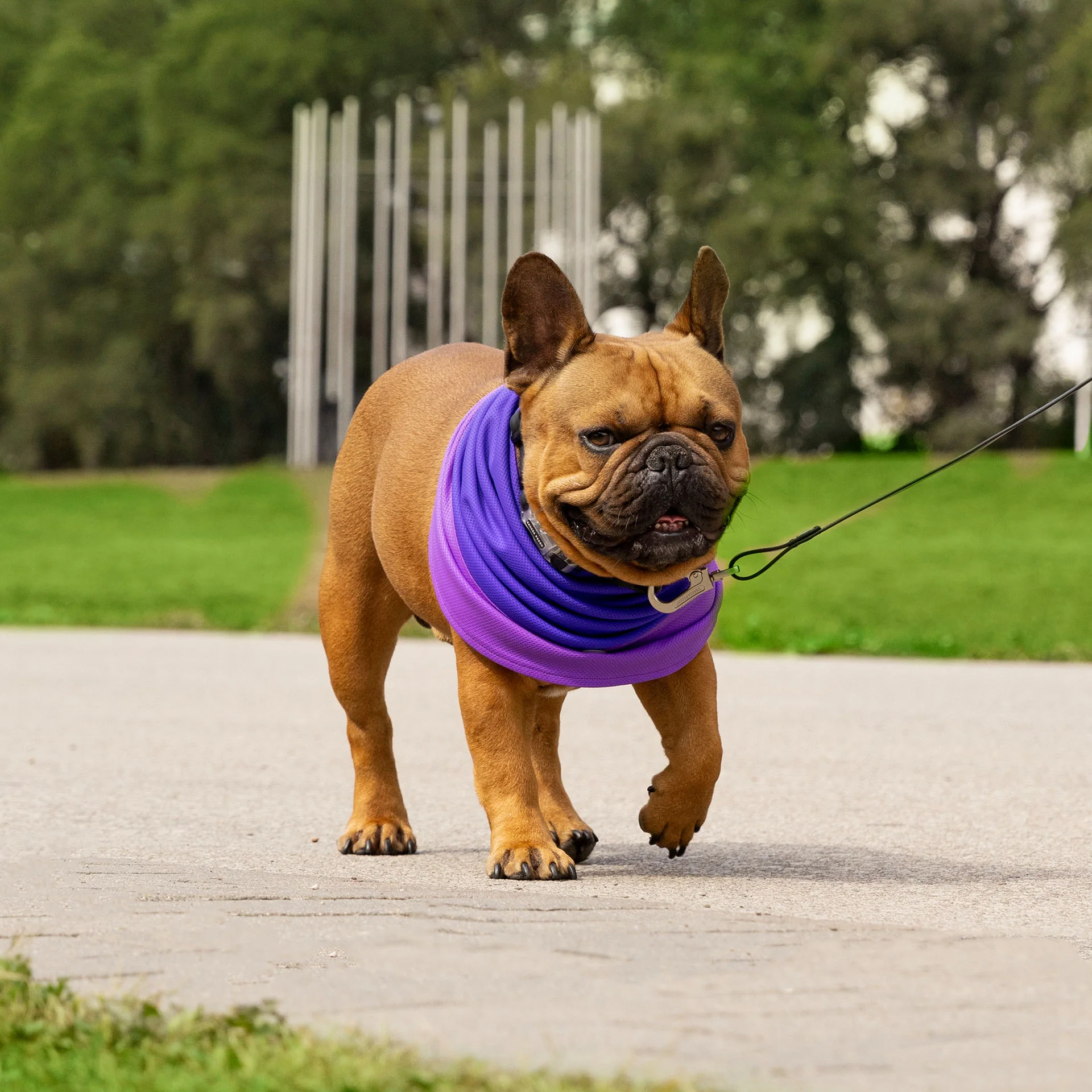 Max Chill Cooling Snood - Image 21