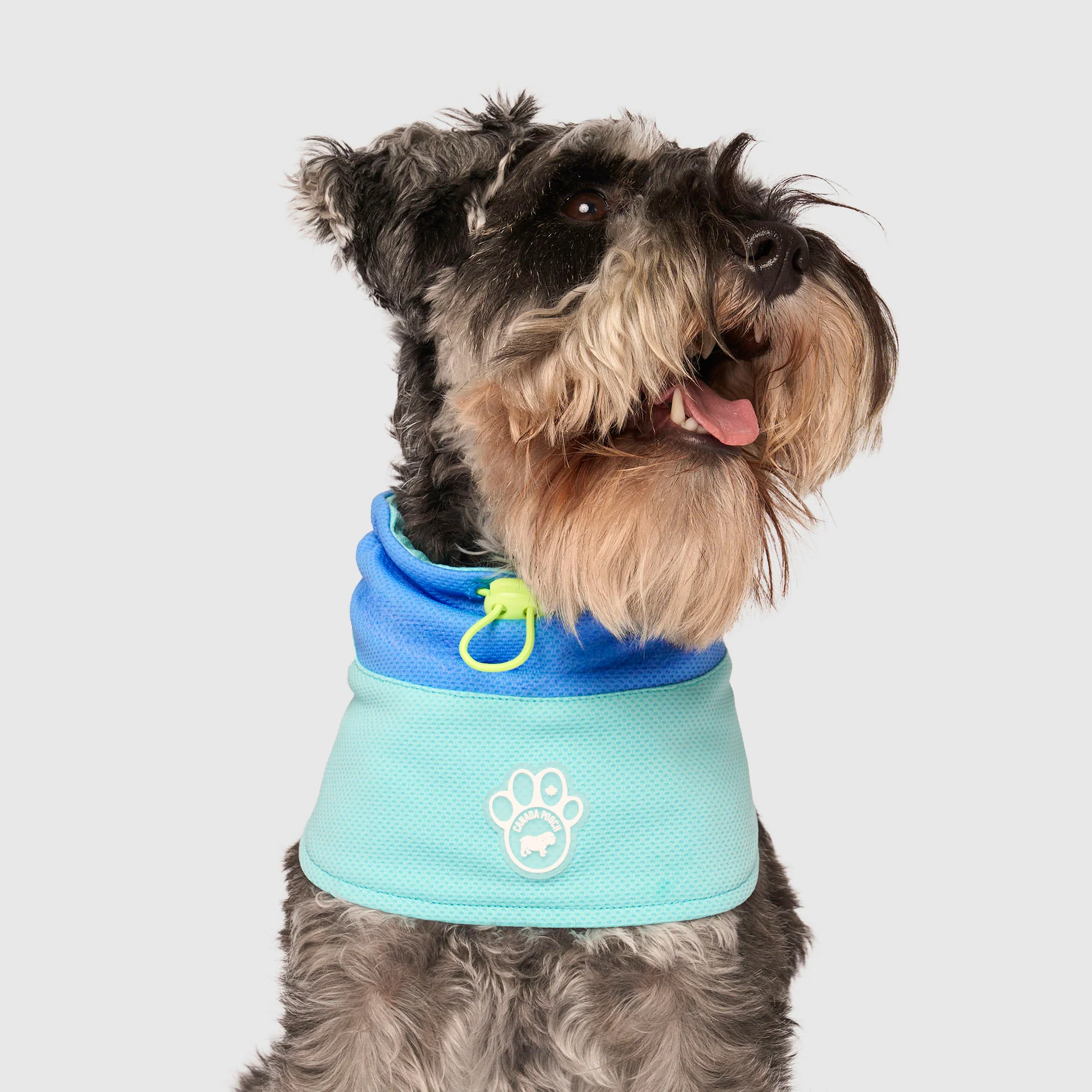 Max Chill Cooling Snood - Image 6