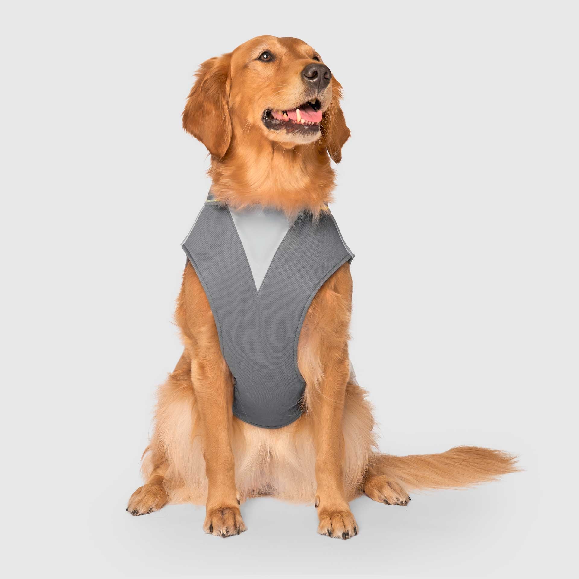 Max Chill Cooling Vest - Image 15