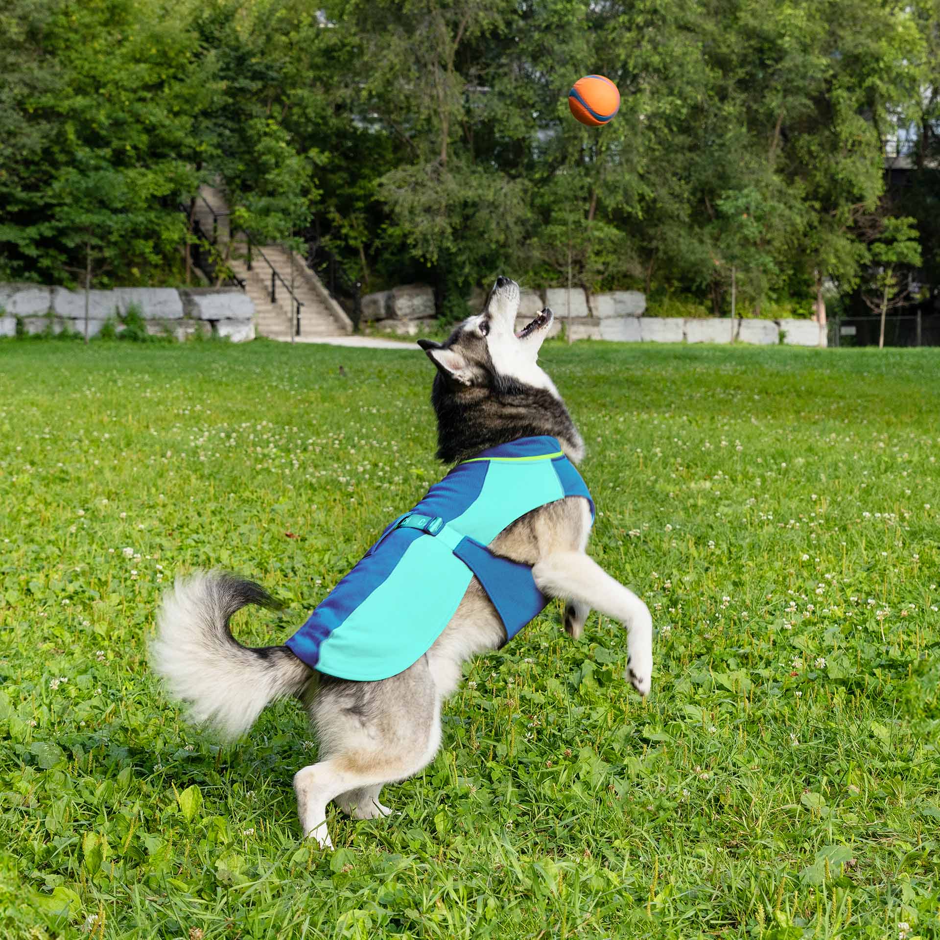 Max Chill Cooling Vest - Image 9