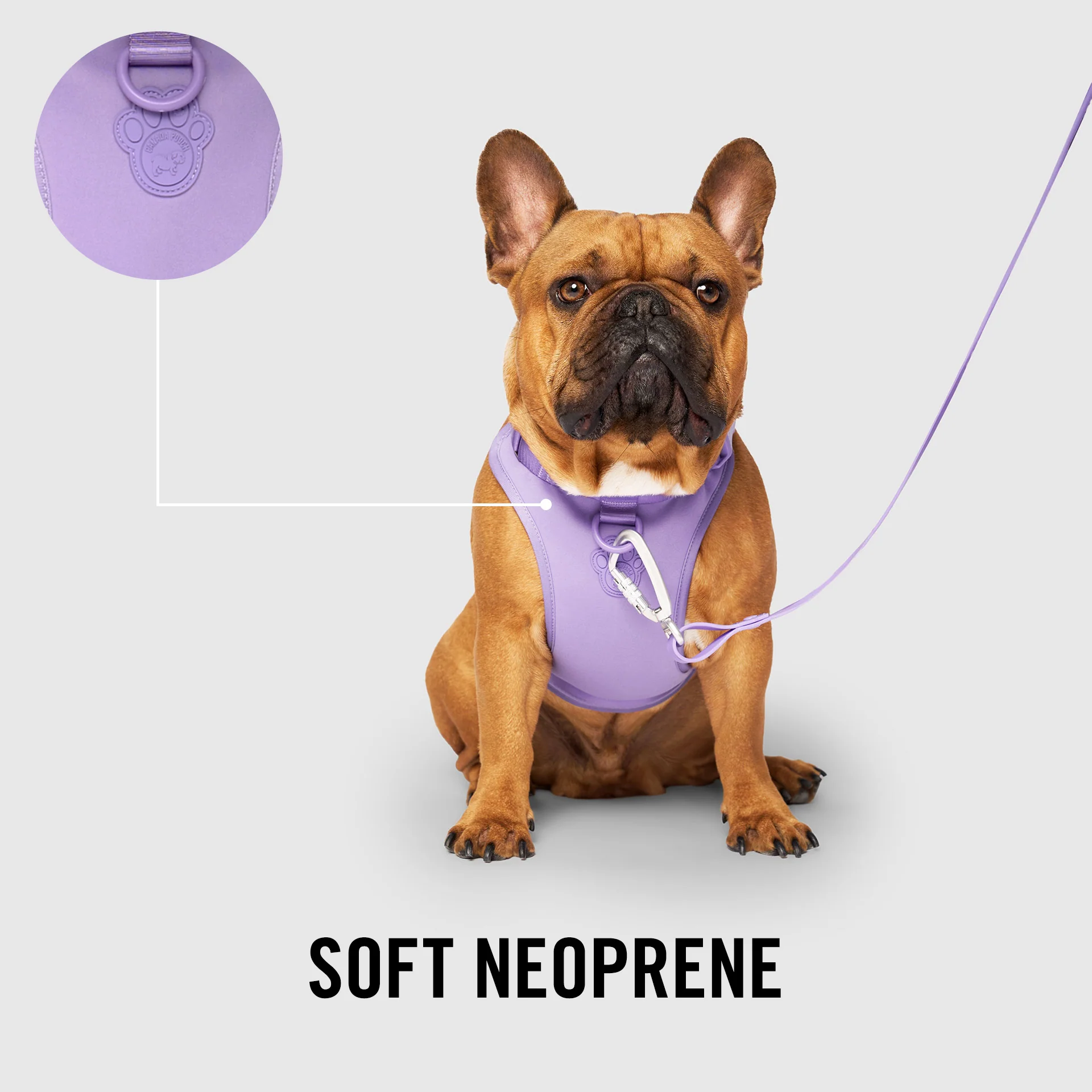 Neoprene Harness - Image 10