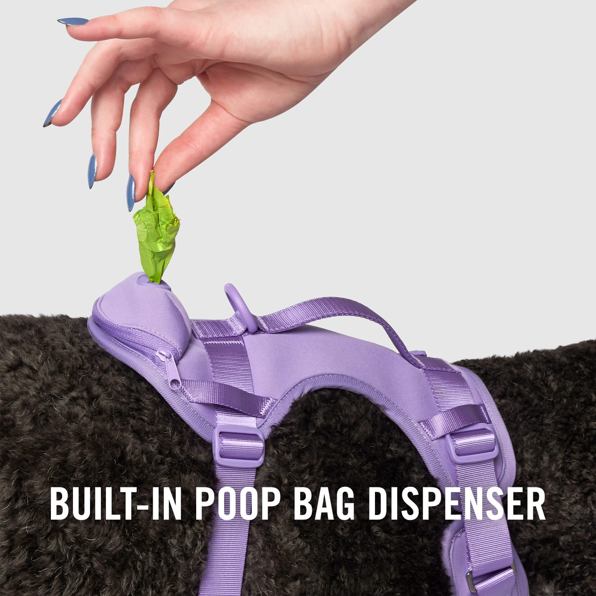 Neoprene Harness - Image 8