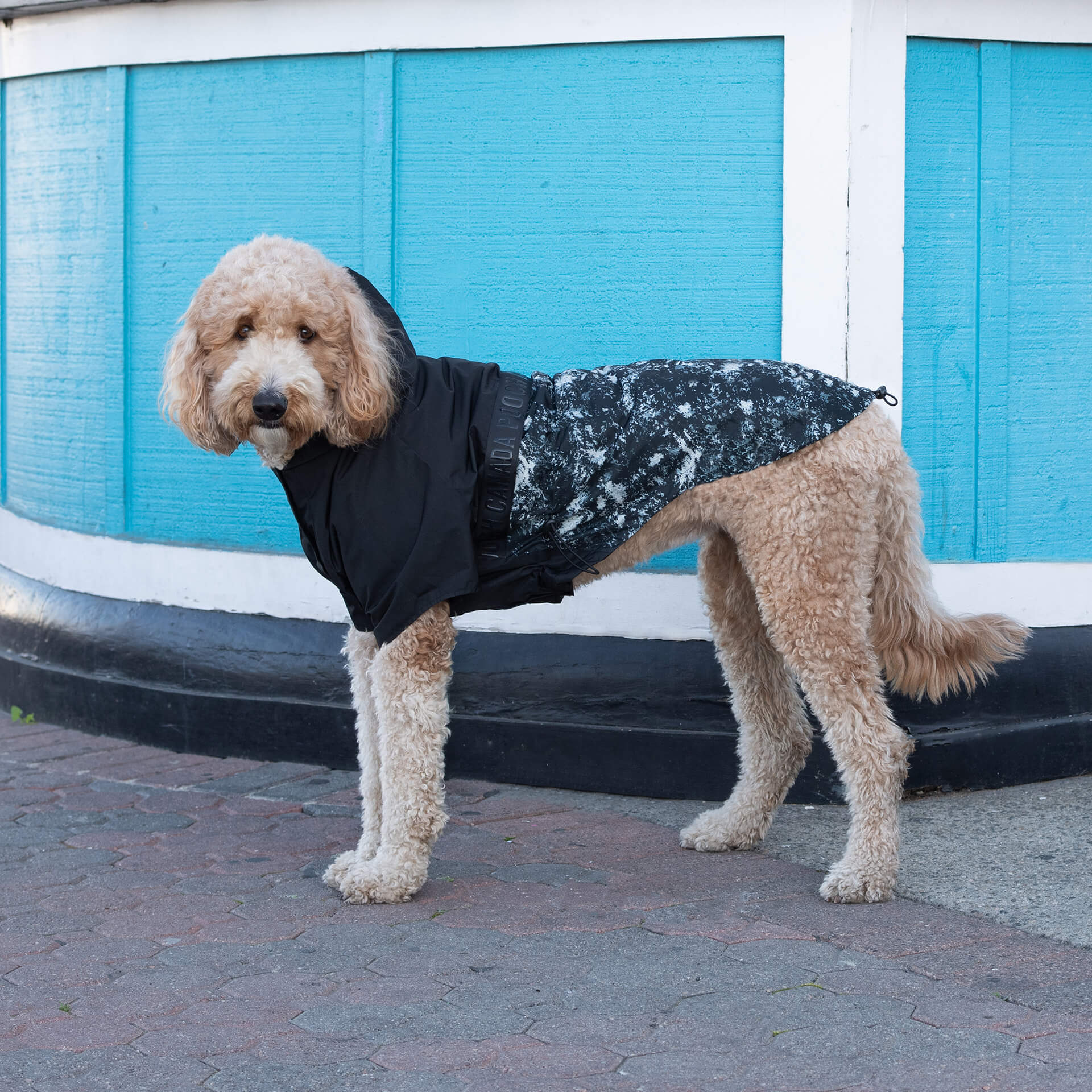 Rain Ready Packable Raincoat - Image 7