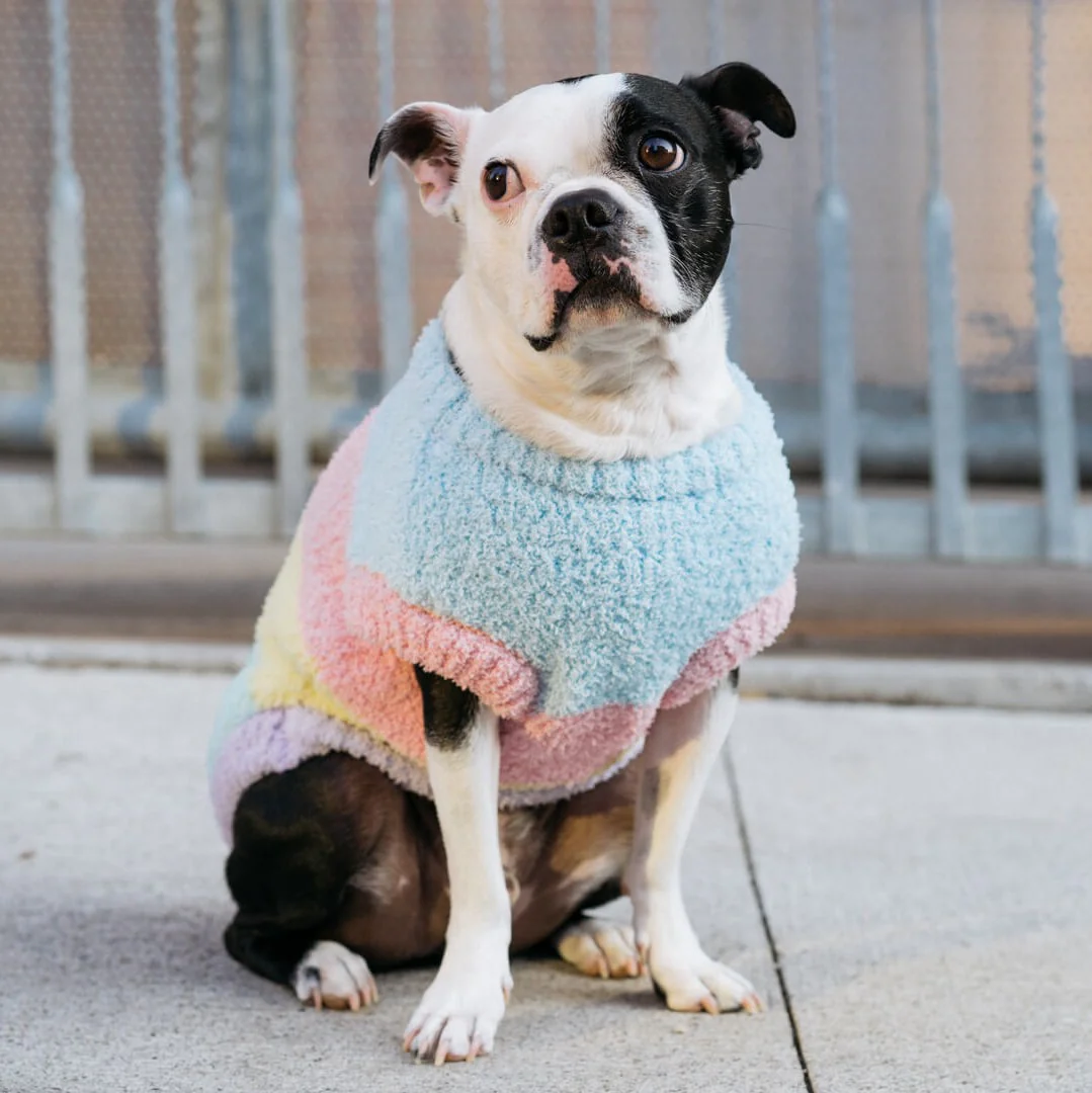 Pastel Party Sweater - Image 5