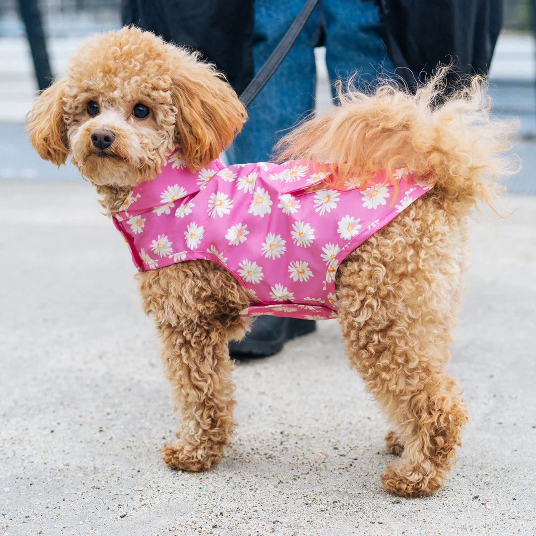 Pick Me Poncho - Image 11