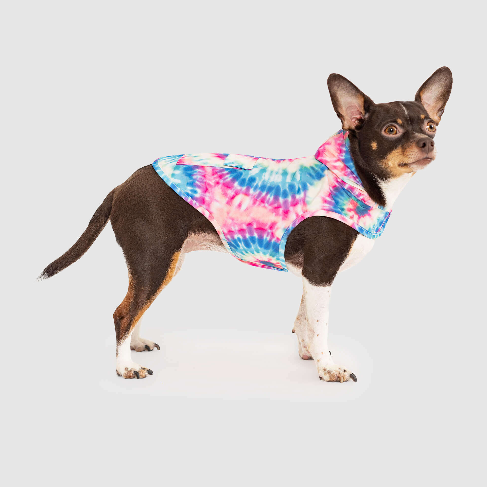 Pick Me Poncho - Image 17