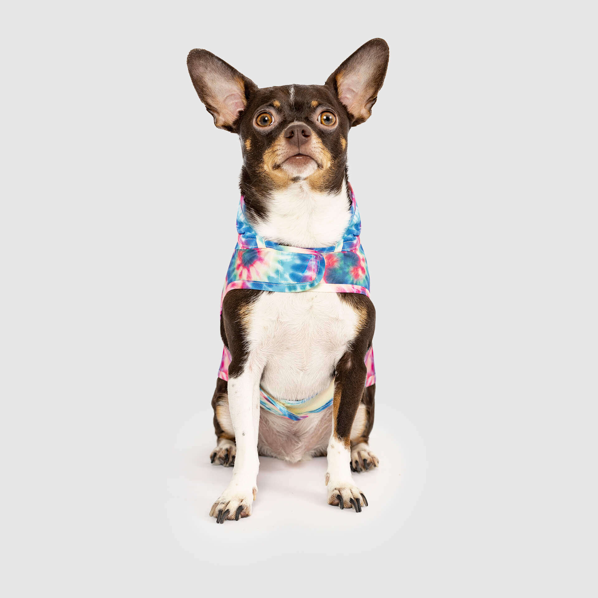 Pick Me Poncho - Image 18