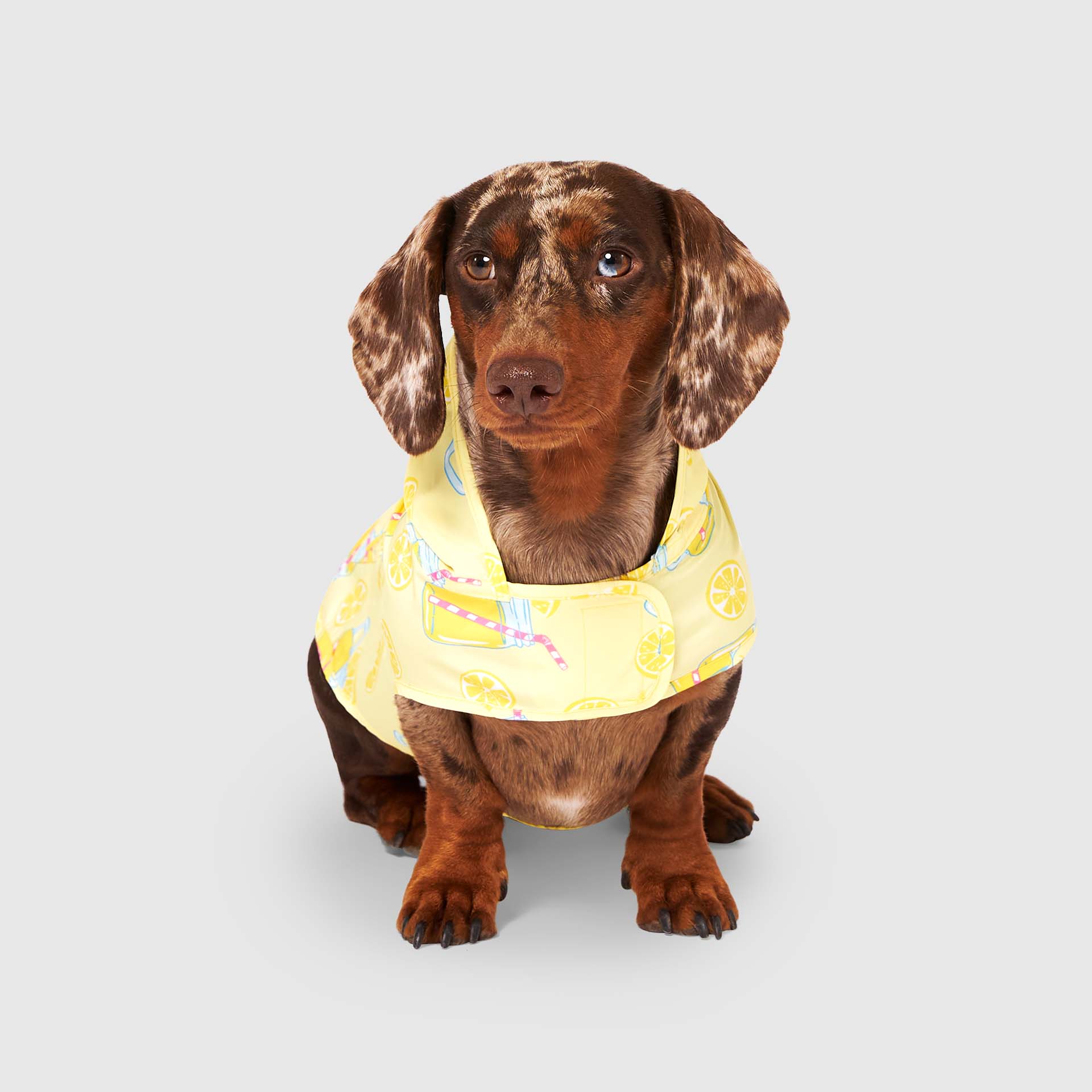 Pick Me Poncho - Image 3