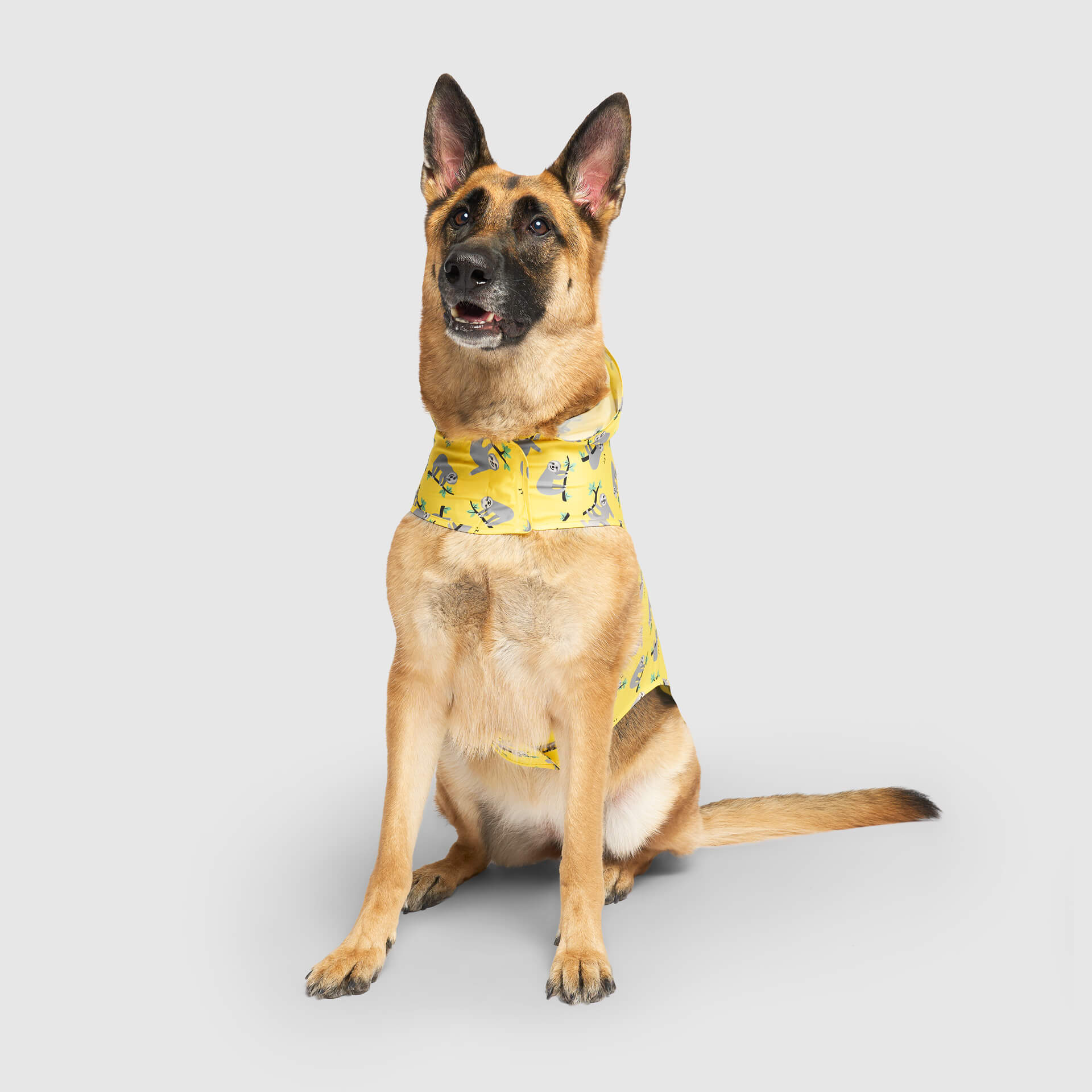 Pick Me Poncho - Image 30