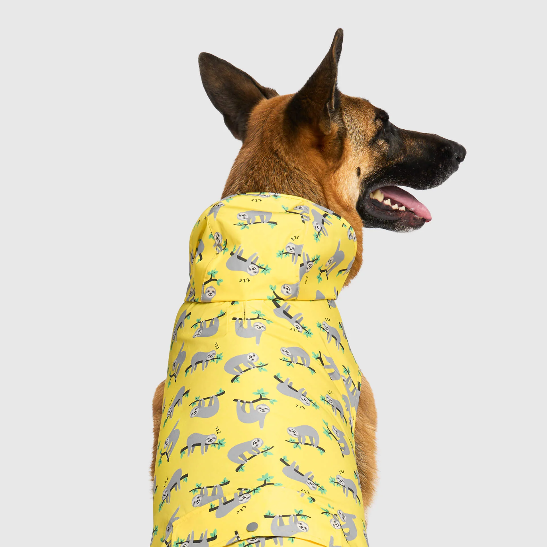 Pick Me Poncho - Image 31