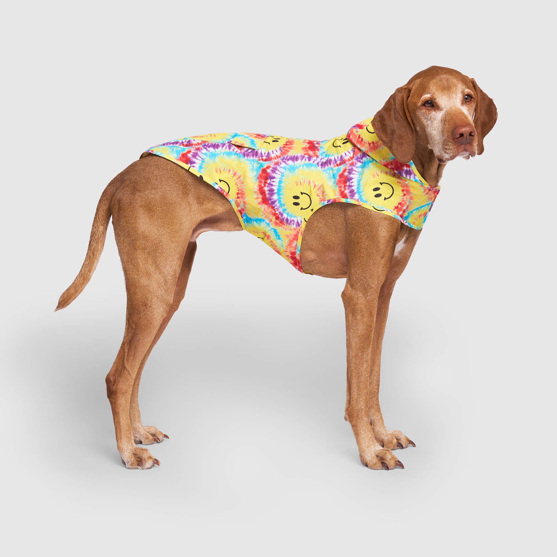 Pick Me Poncho - Image 34