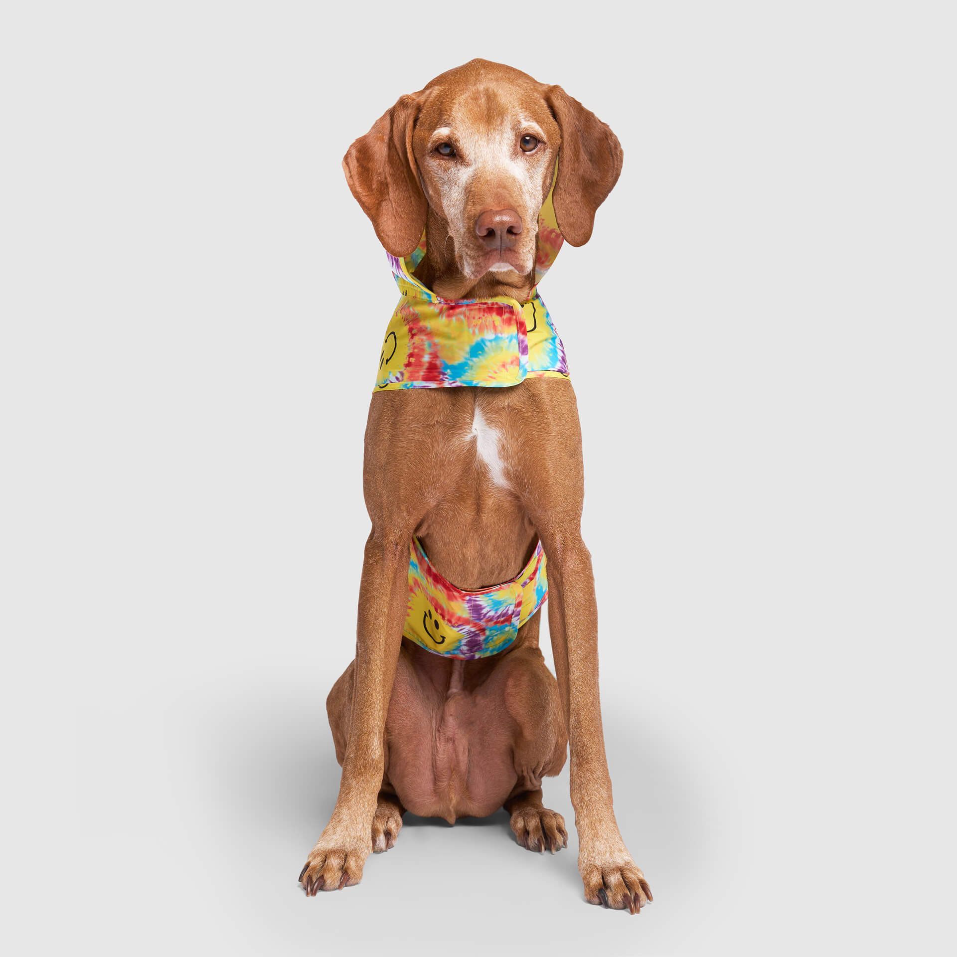 Pick Me Poncho - Image 35