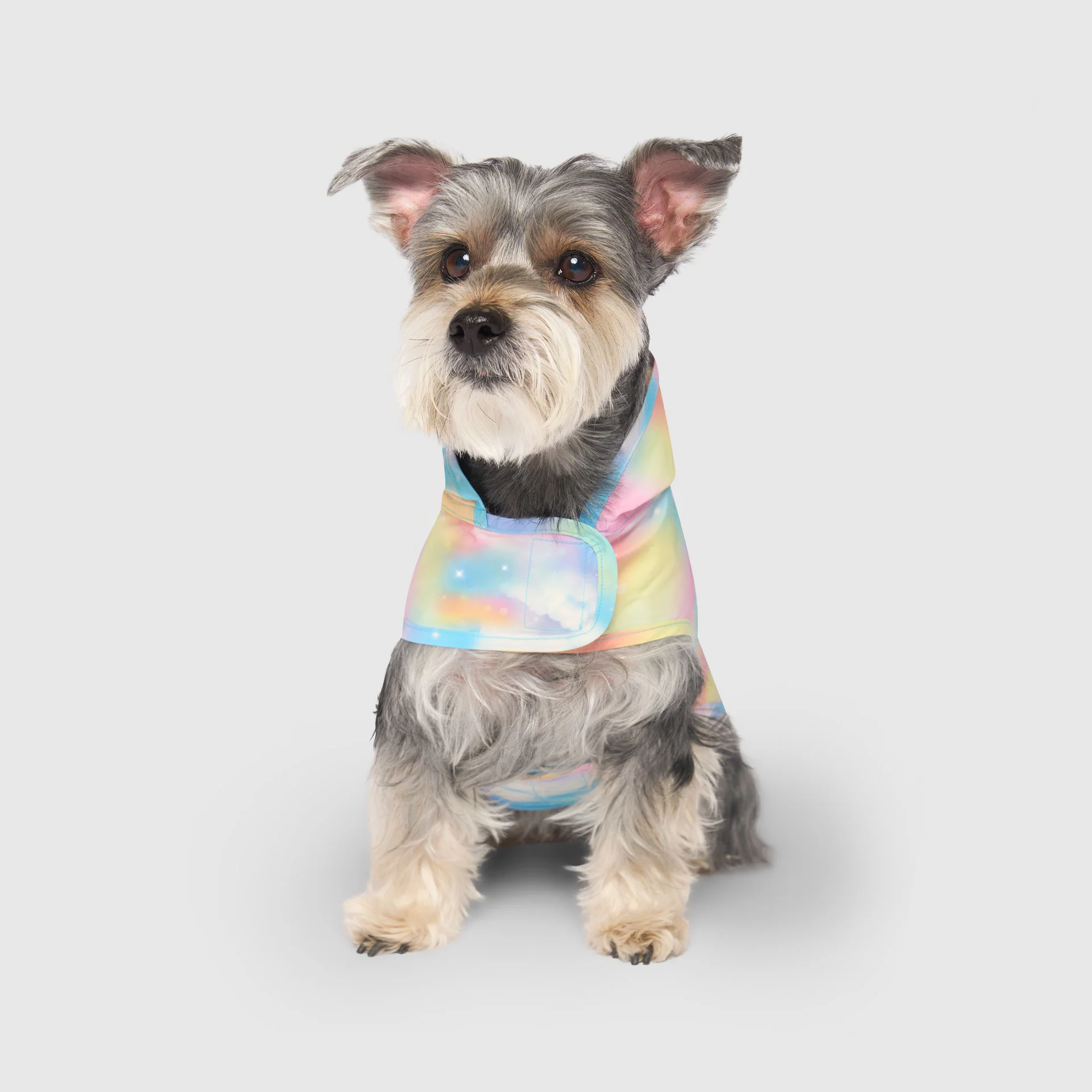 Pick Me Poncho - Image 40
