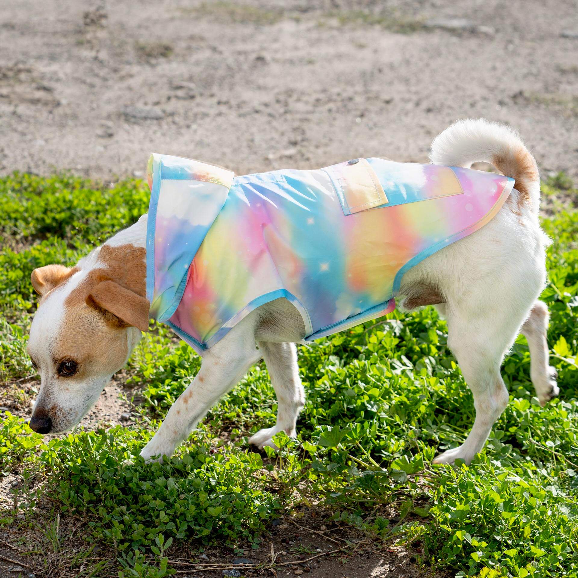 Pick Me Poncho - Image 42