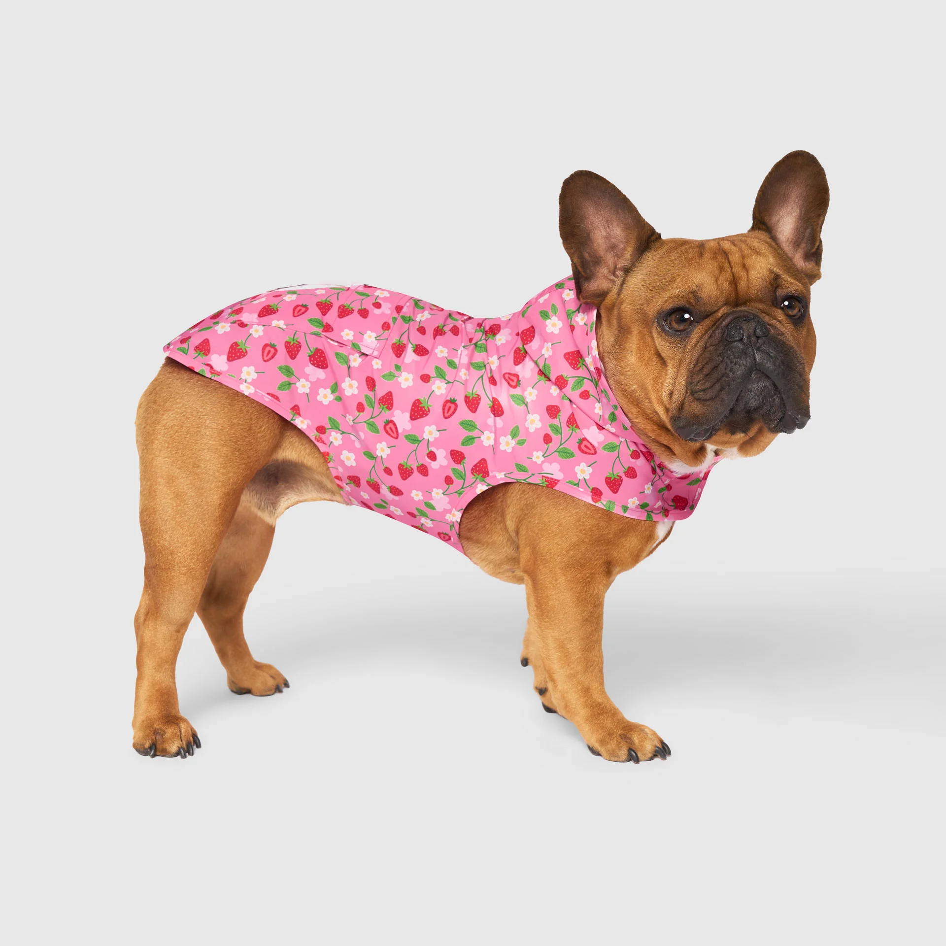 Pick Me Poncho - Image 43