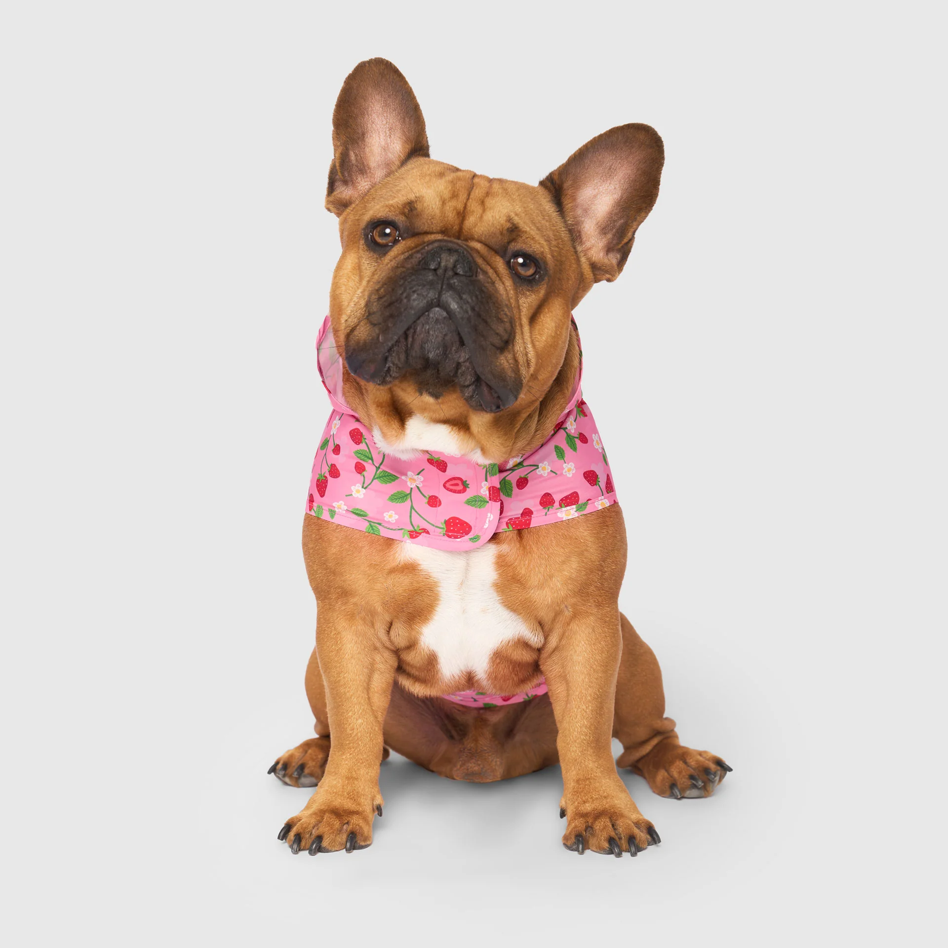 Pick Me Poncho - Image 44