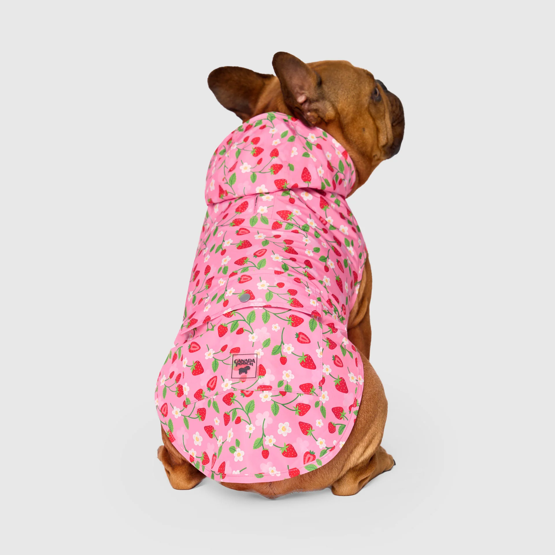 Pick Me Poncho - Image 45