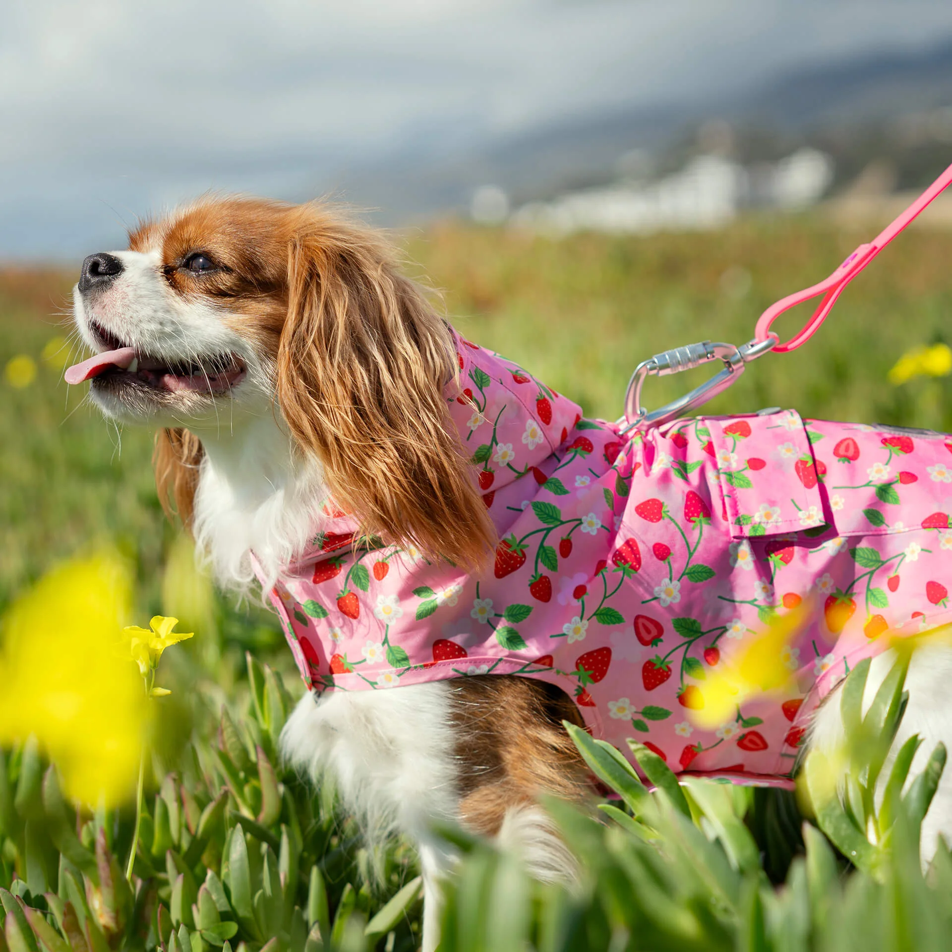 Pick Me Poncho - Image 47