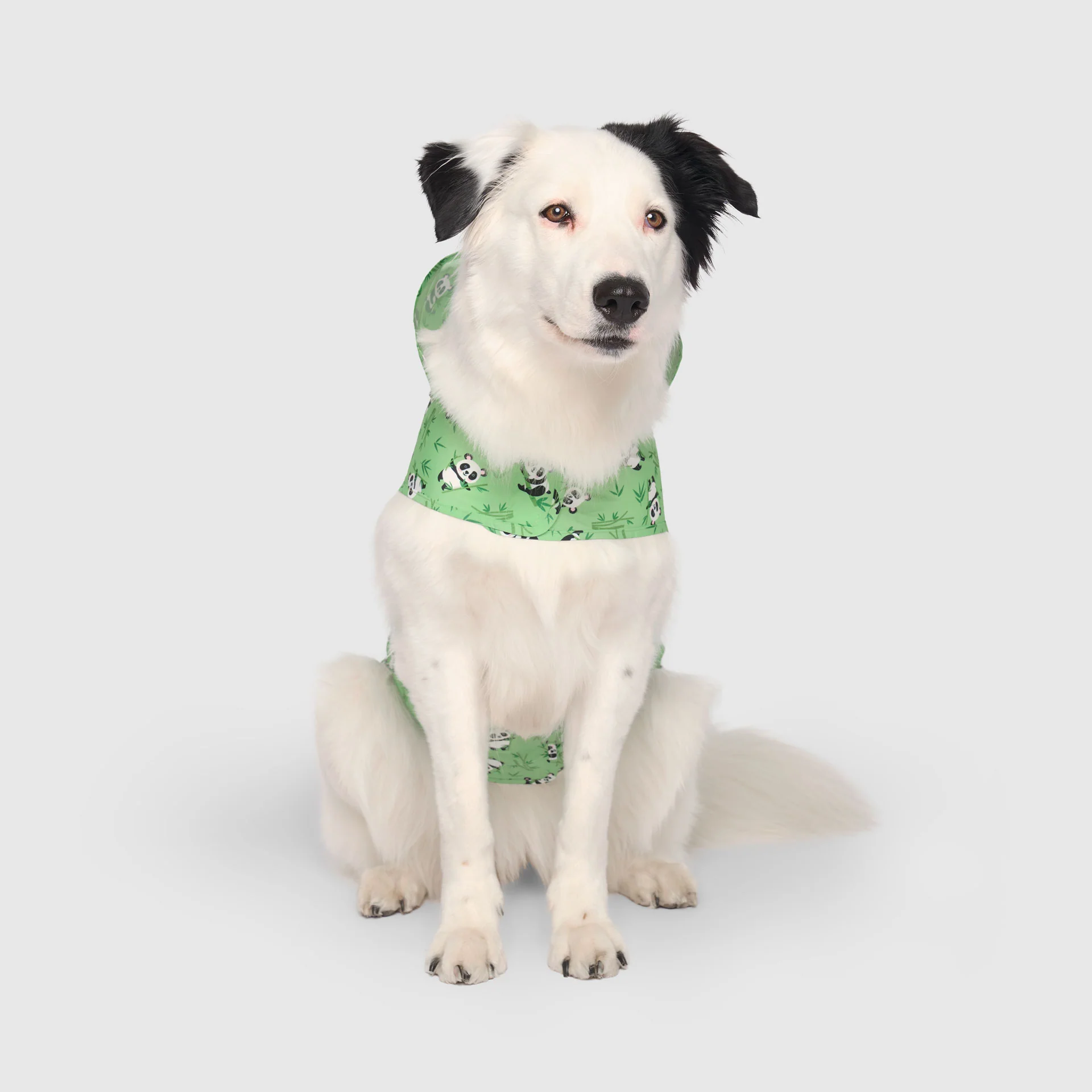 Pick Me Poncho - Image 49