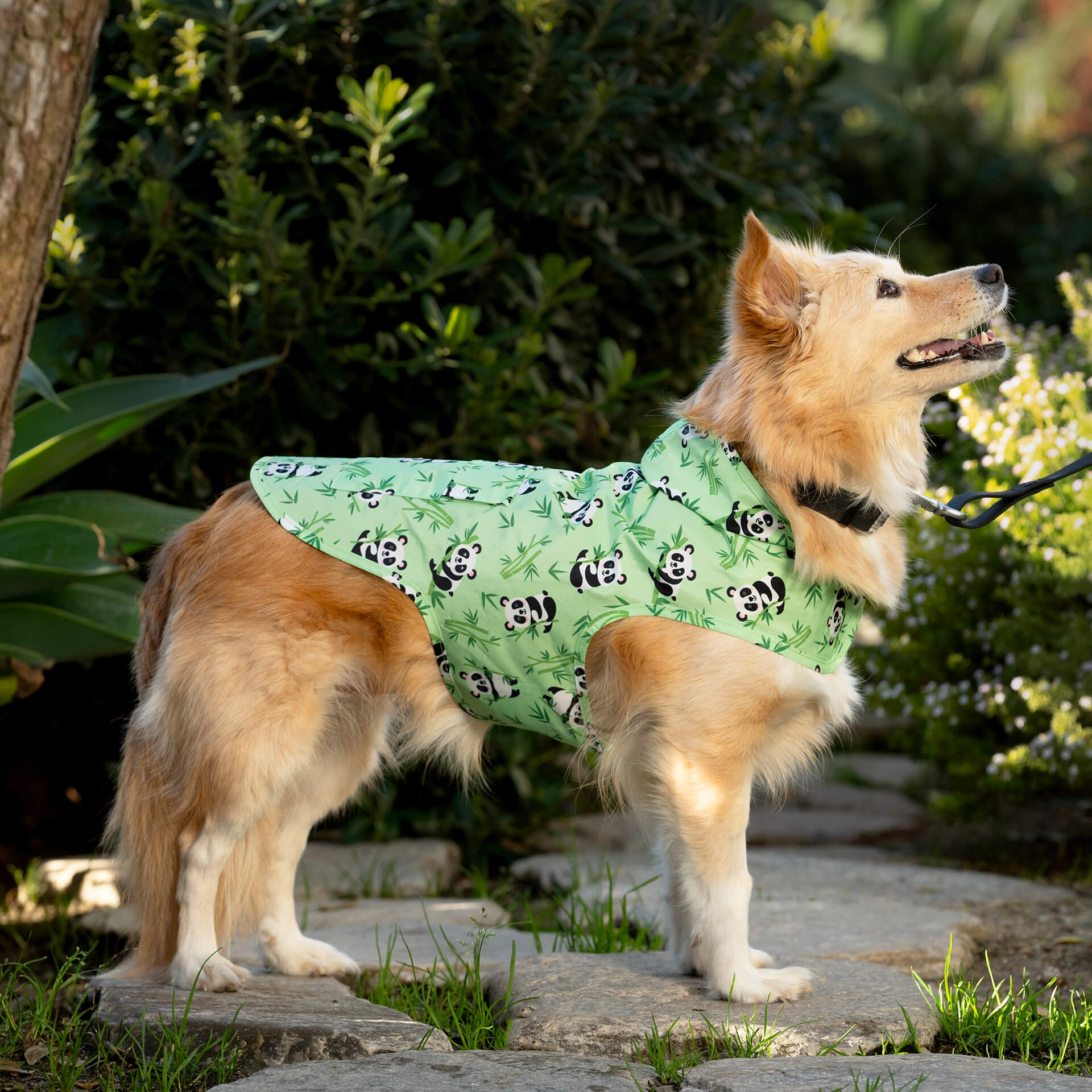 Pick Me Poncho - Image 52