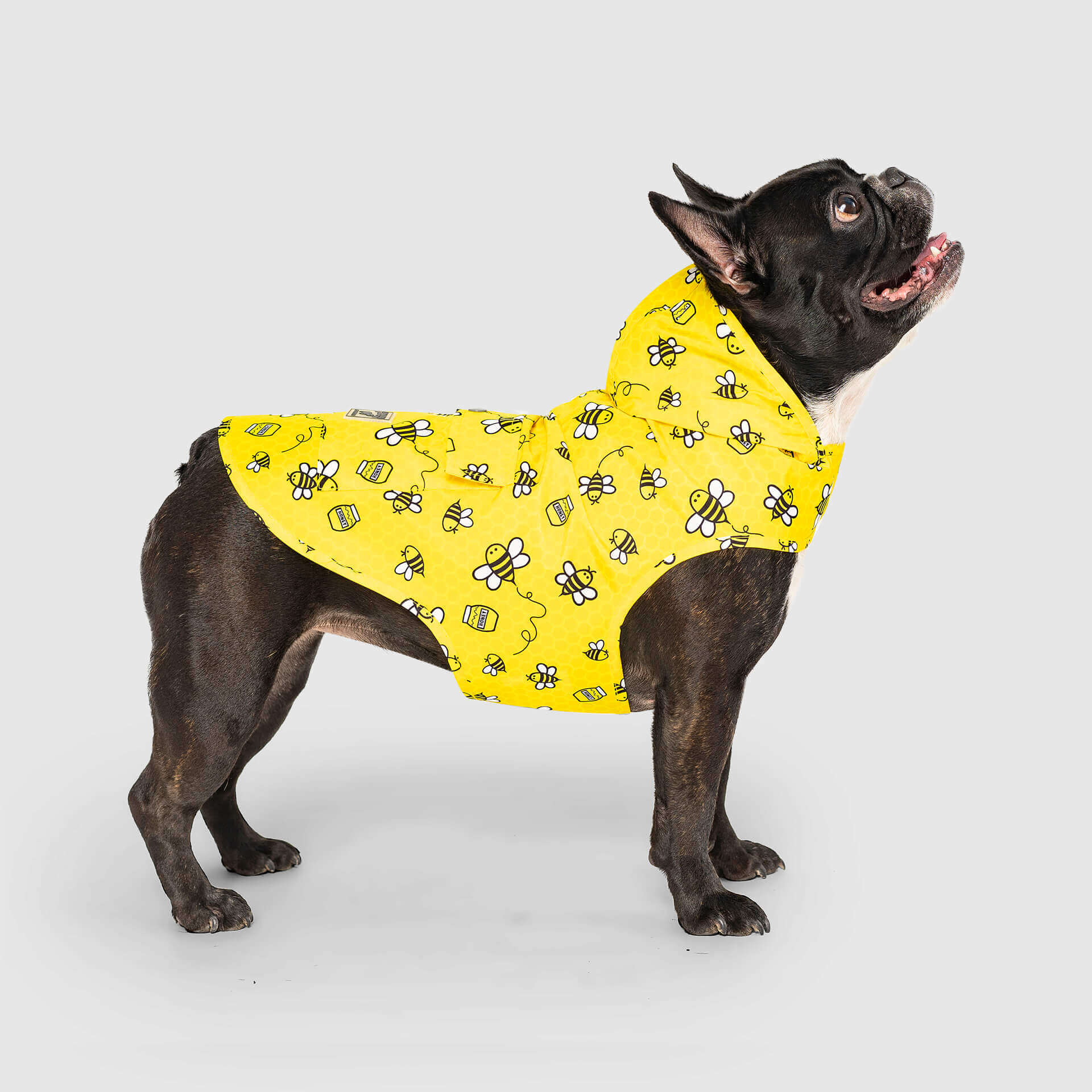 Pick Me Poncho - Image 20