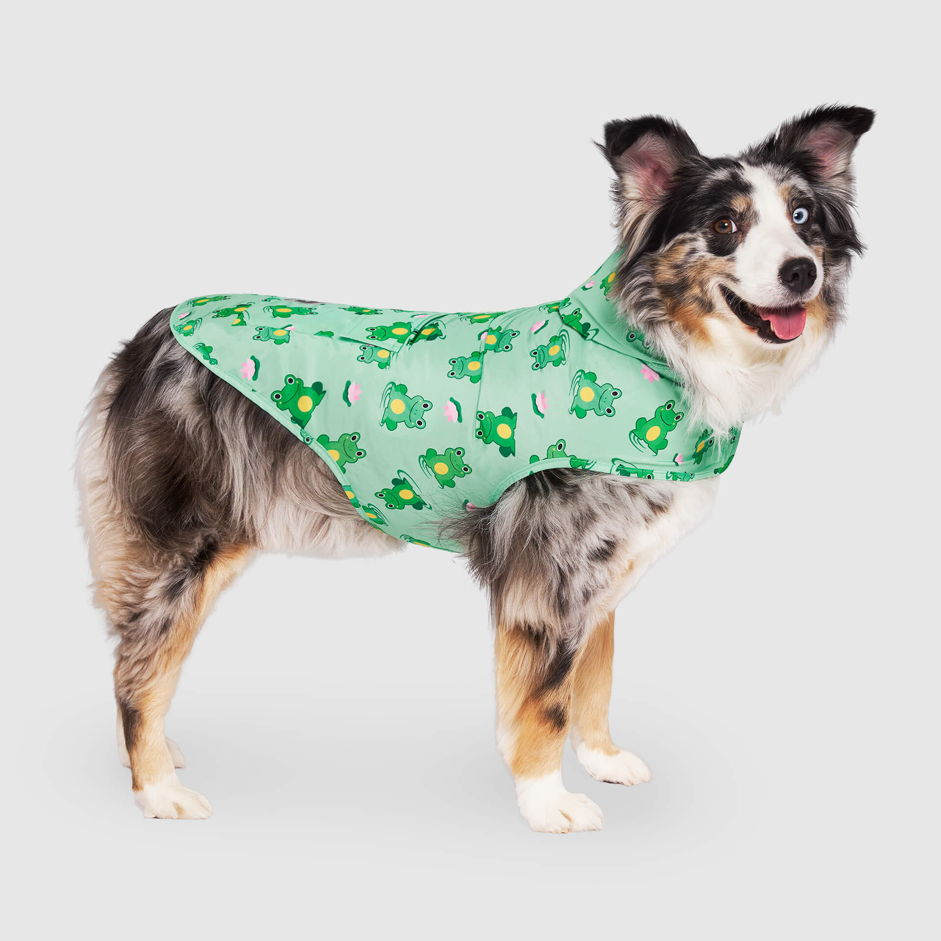 Pick Me Poncho - Image 24