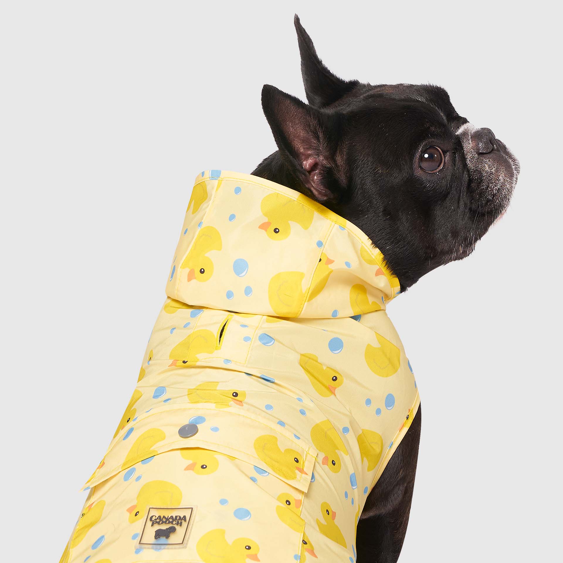 Pick Me Poncho - Image 40