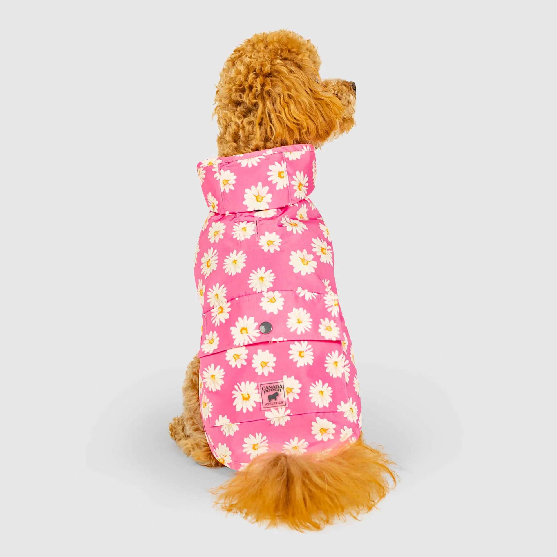 Pick Me Poncho - Image 8