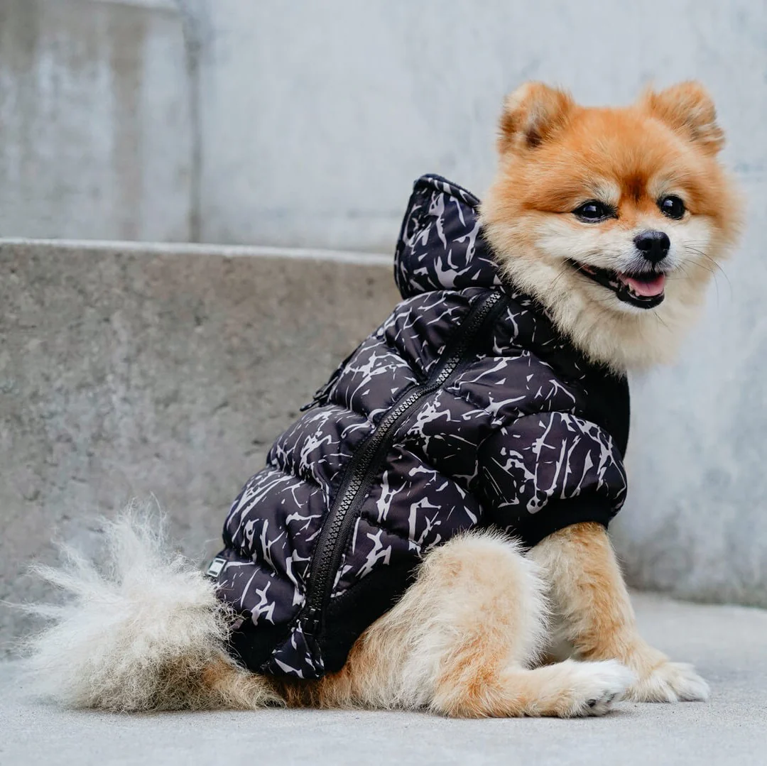 Prism Puffer - Image 25